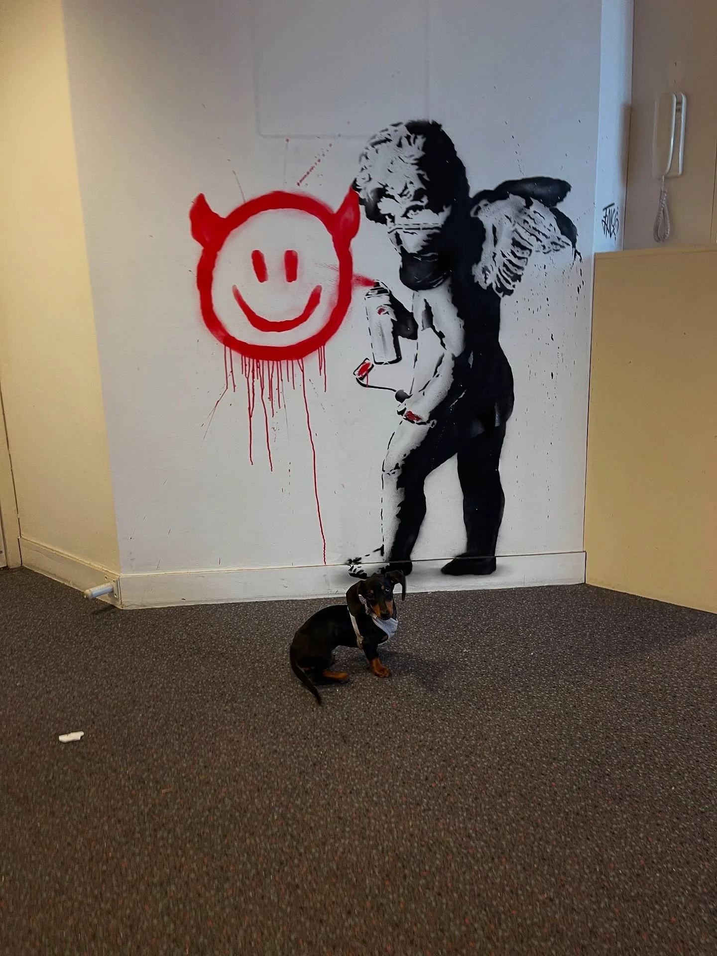 Three years since this little boy has been easing my mind every day ❤️