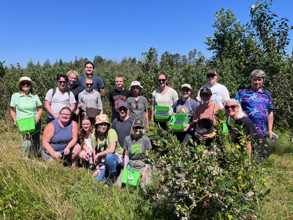 CTK Foodshare & Farm Blueberry Gleaning