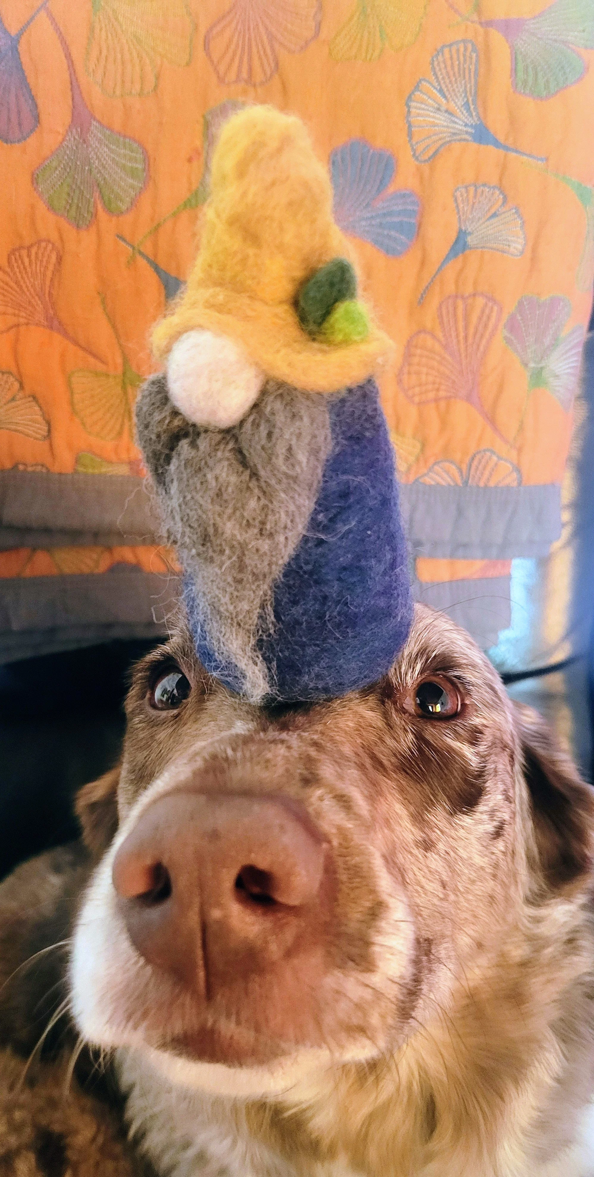 Needle Felting with Grace