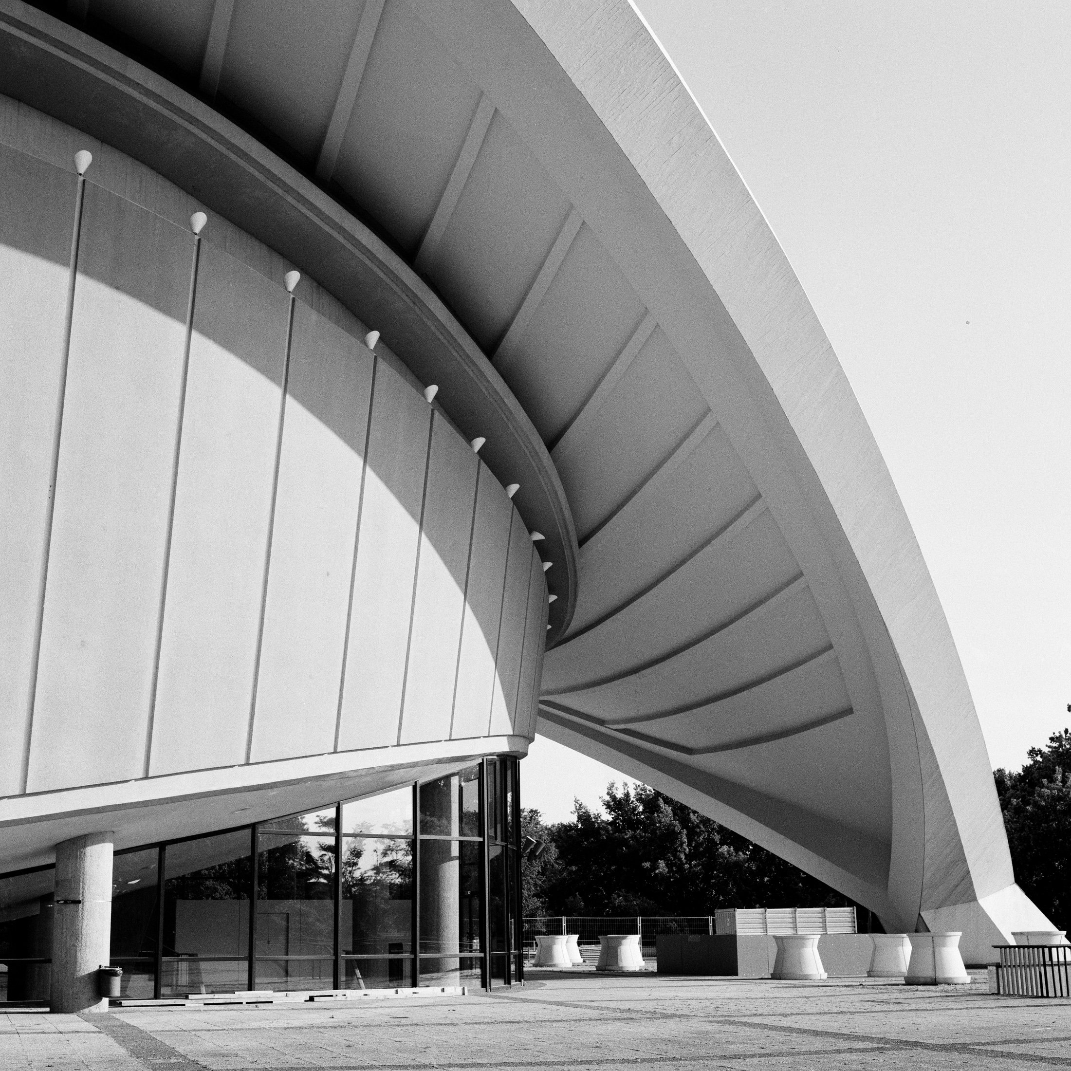 Shell, Dylan Kronen