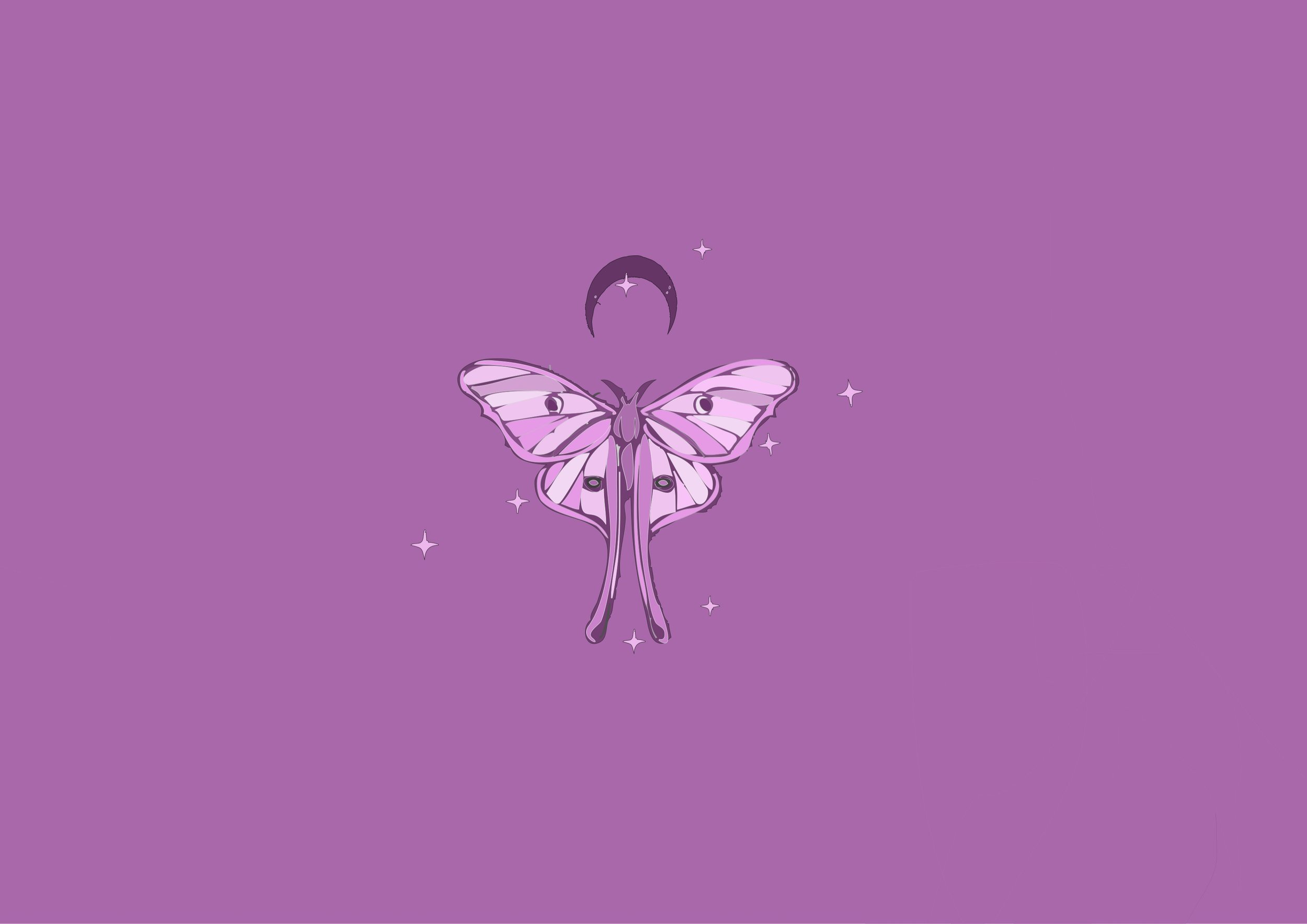 Luna moth sigular.jpeg