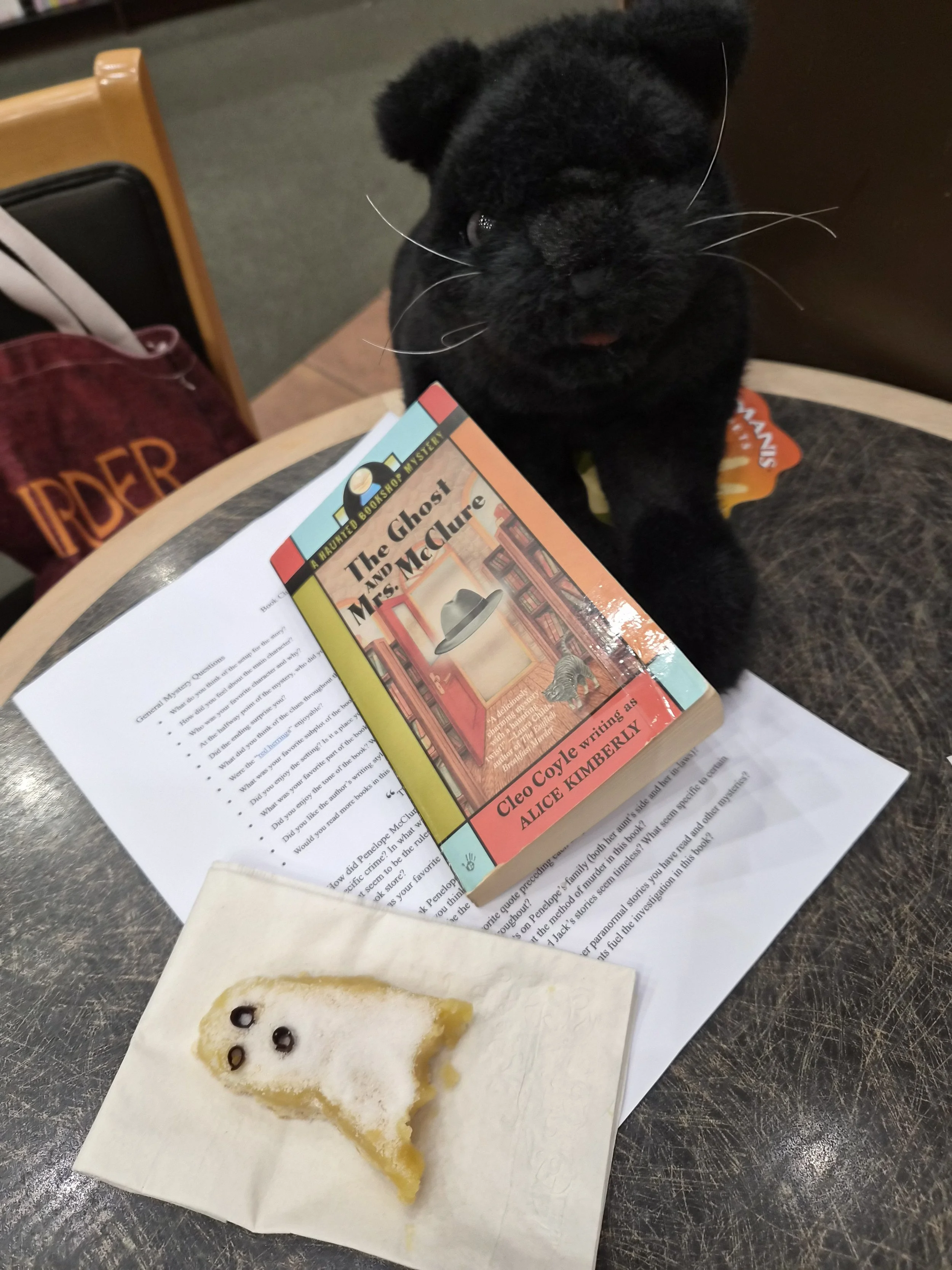 Book Club “The Ghost and Mrs. McClure”