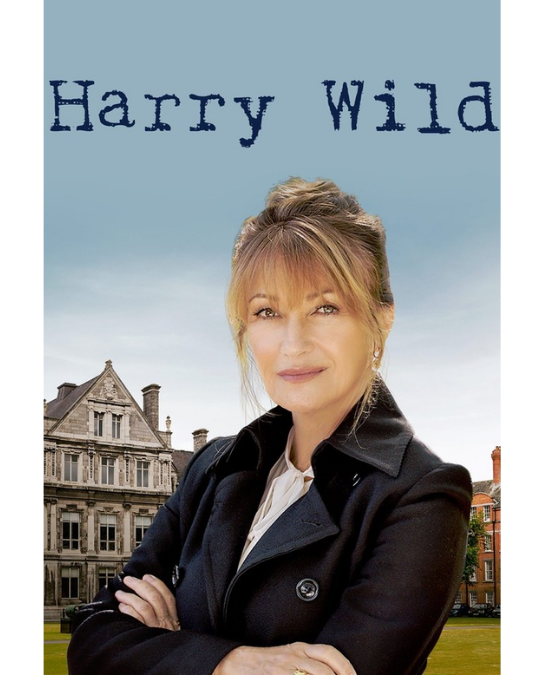 Investigator Harry Wild looks serious