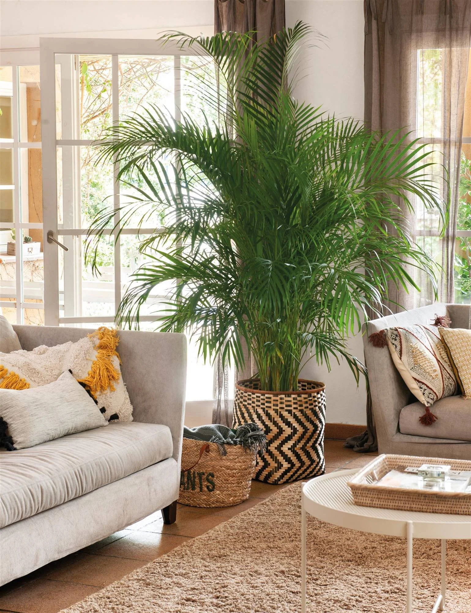 Colocar plantas en puntos estratégicos de tu sala ayudará a potenciar y atraer energías positivas a tu hogar