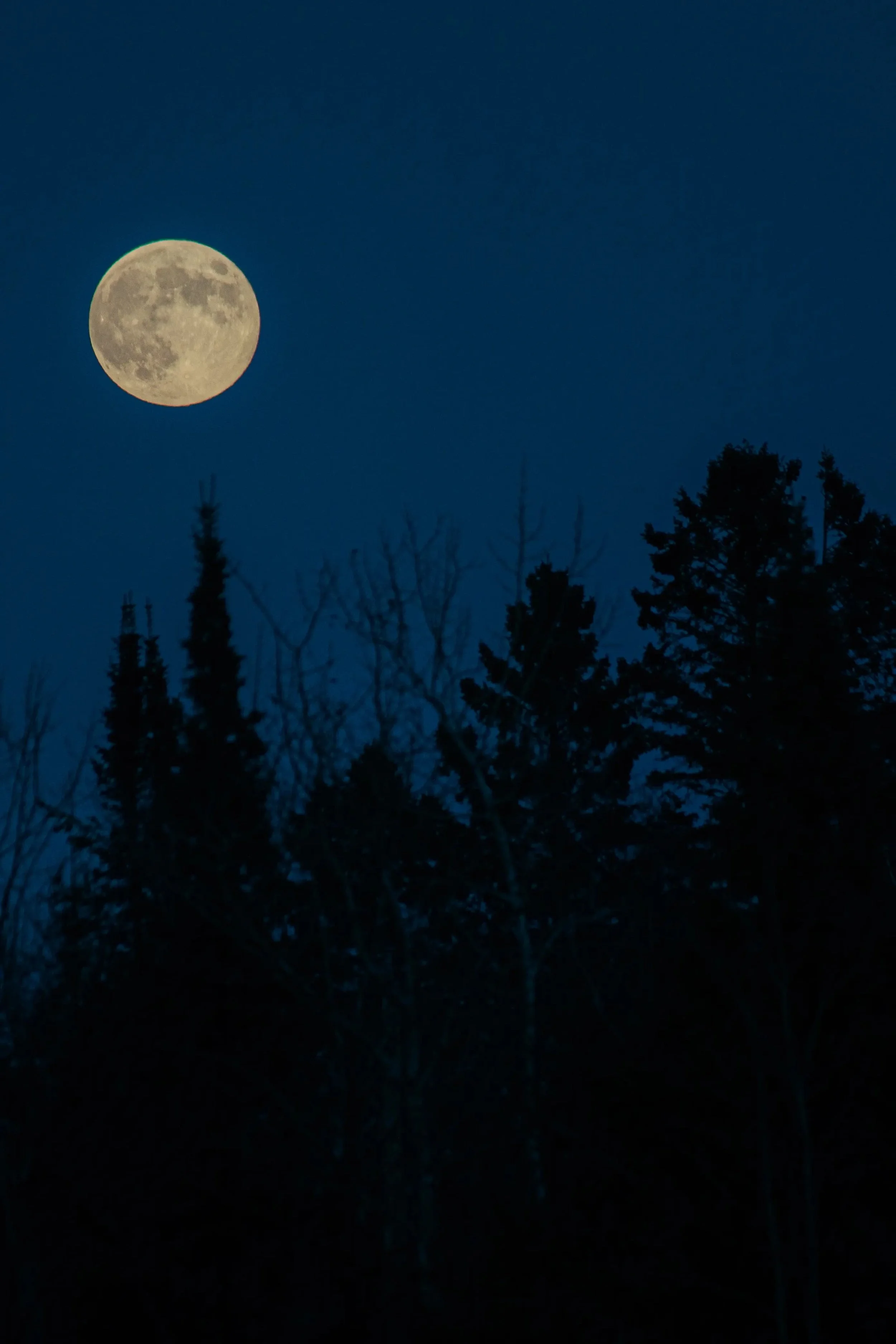 lake superior full moon, coffee shop on scenic 61 along Lake Superior, Knife river coffee shop 