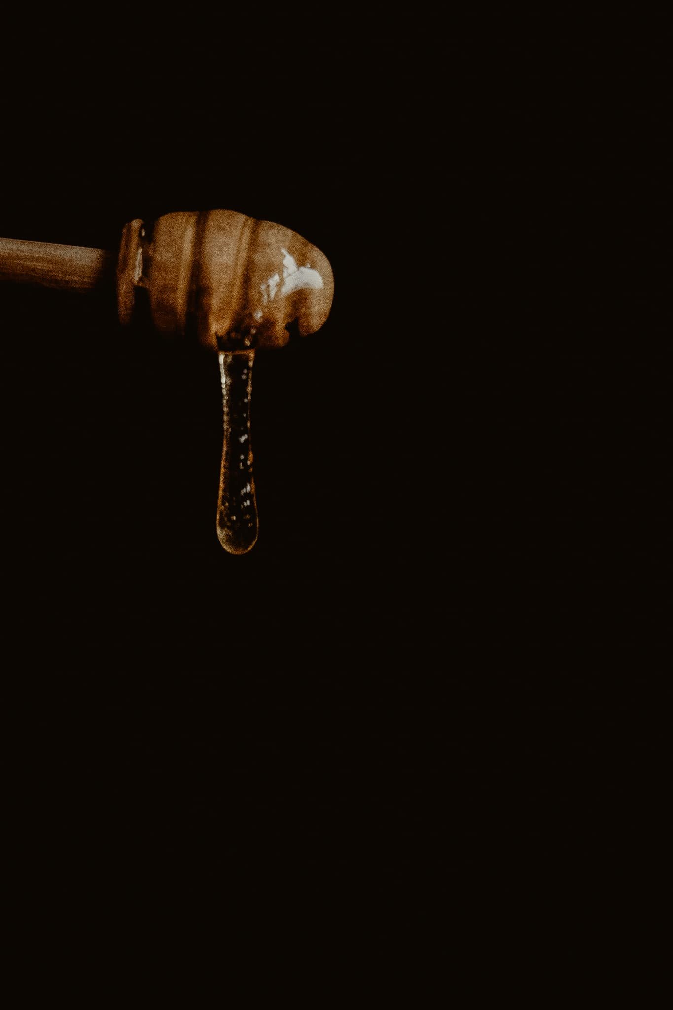 Native Wise honey at Dream Cloud Coffee Roasters located in downtown, Duluth, MN 