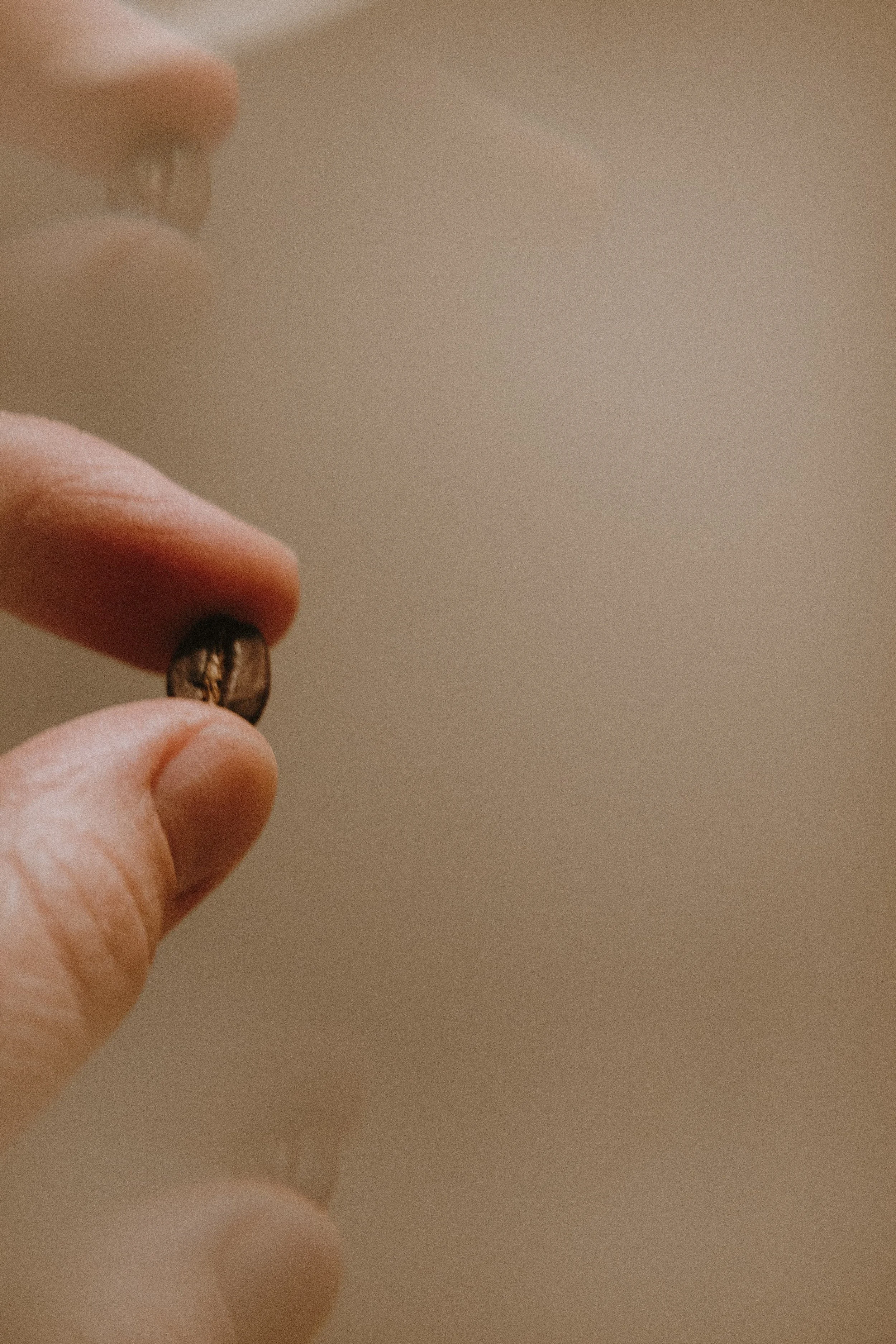 Specialty coffee shop in downtown Duluth, MN near the waterfront of Lake Superior 