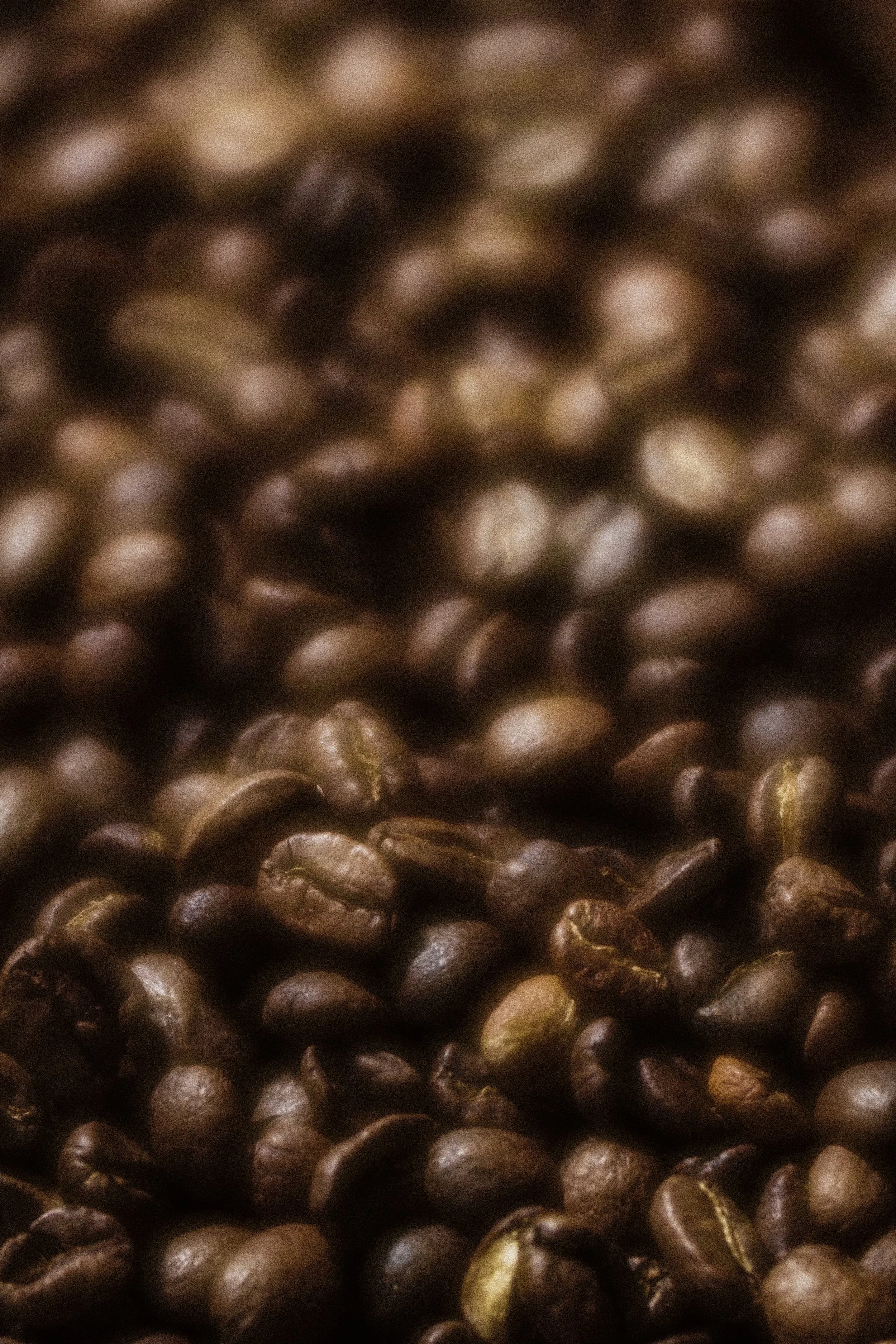 Fresh roasted coffee in Duluth, MN