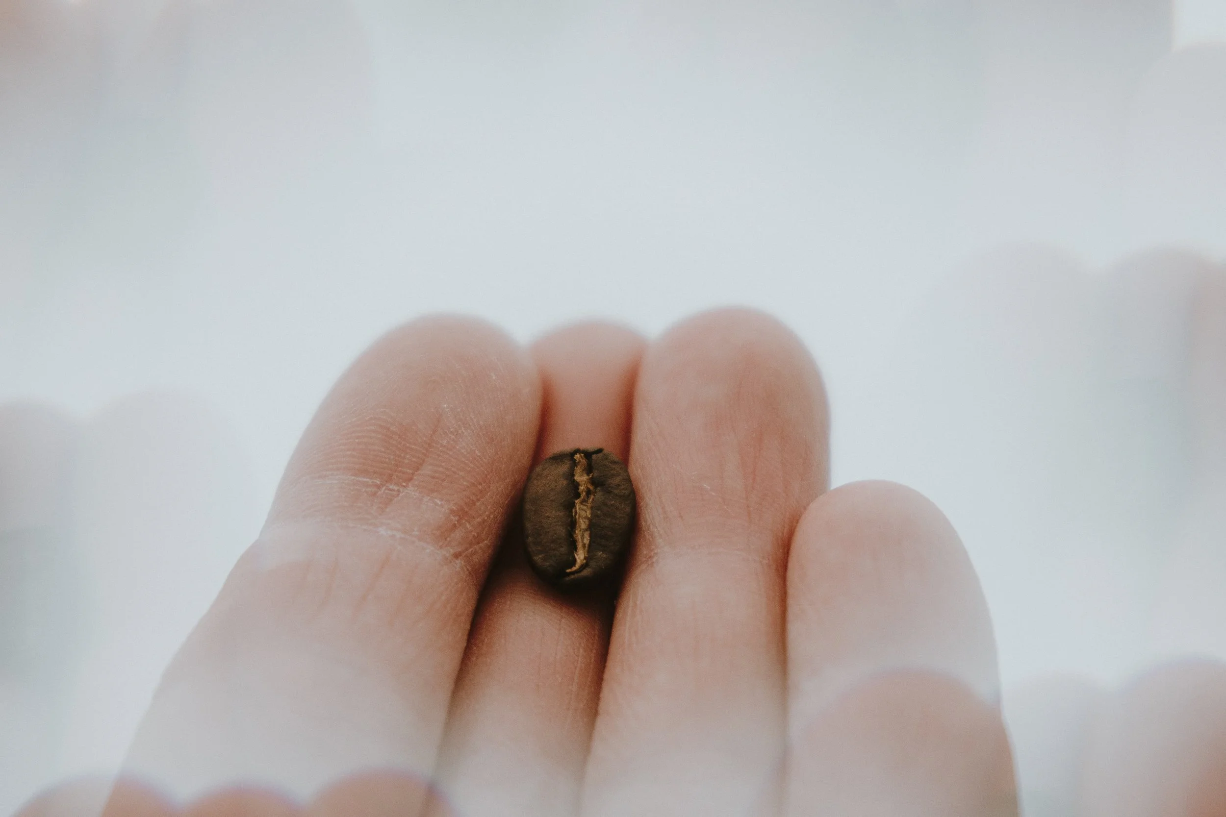 Specialty coffee shop in Duluth, MN. Locally owned coffee shop near the waterfront.