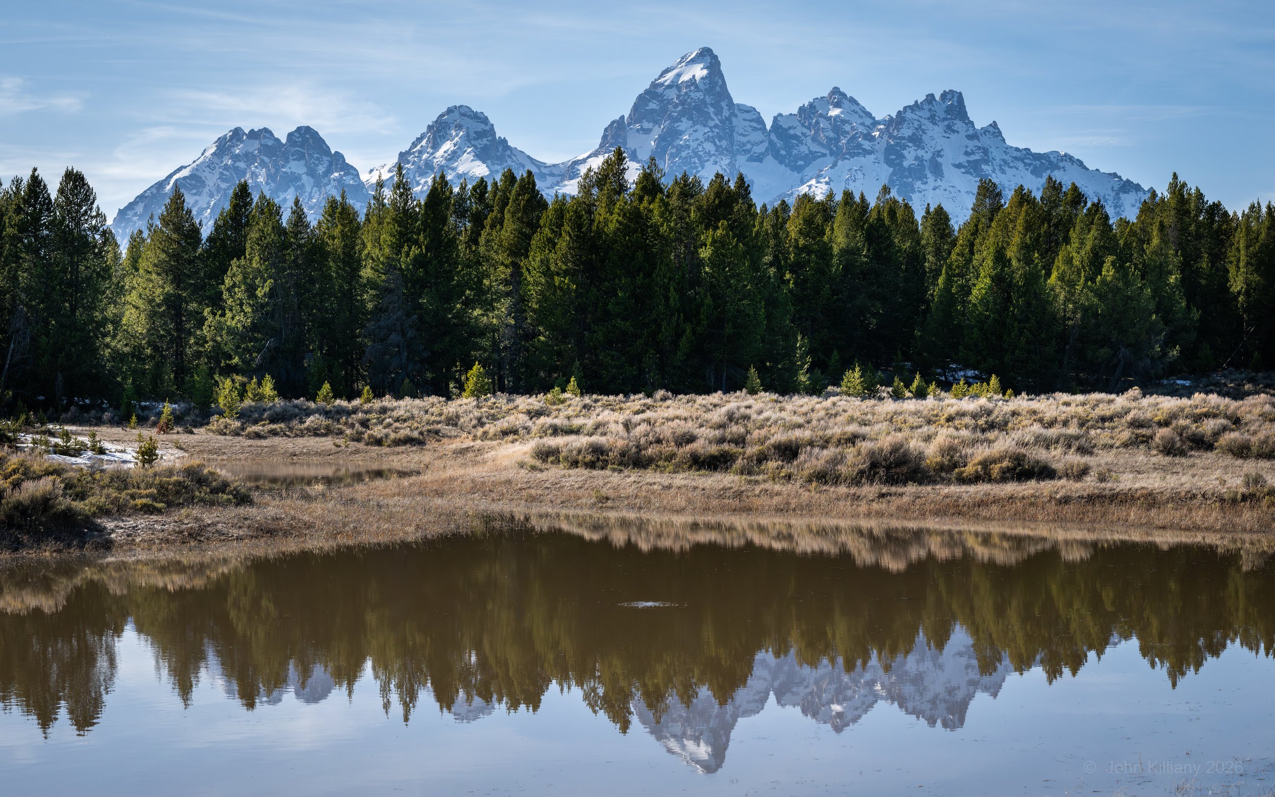 Spring-fed Reflections - Grand Teton National Park