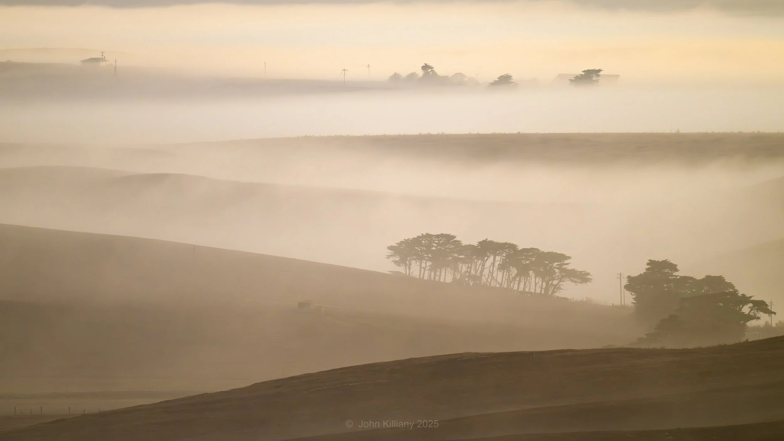 Foggy Morning - Point Reyes National Seashore