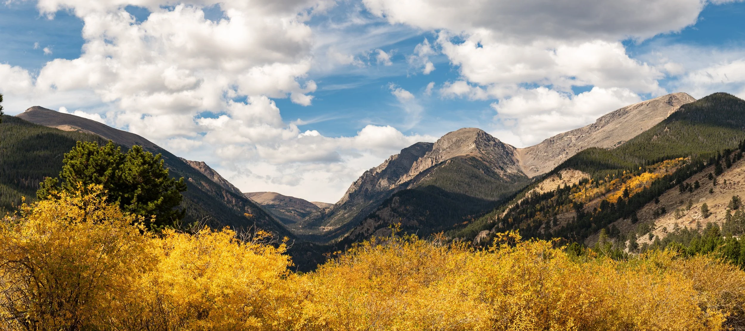 Fall River Valley - Rocky Mountain NP