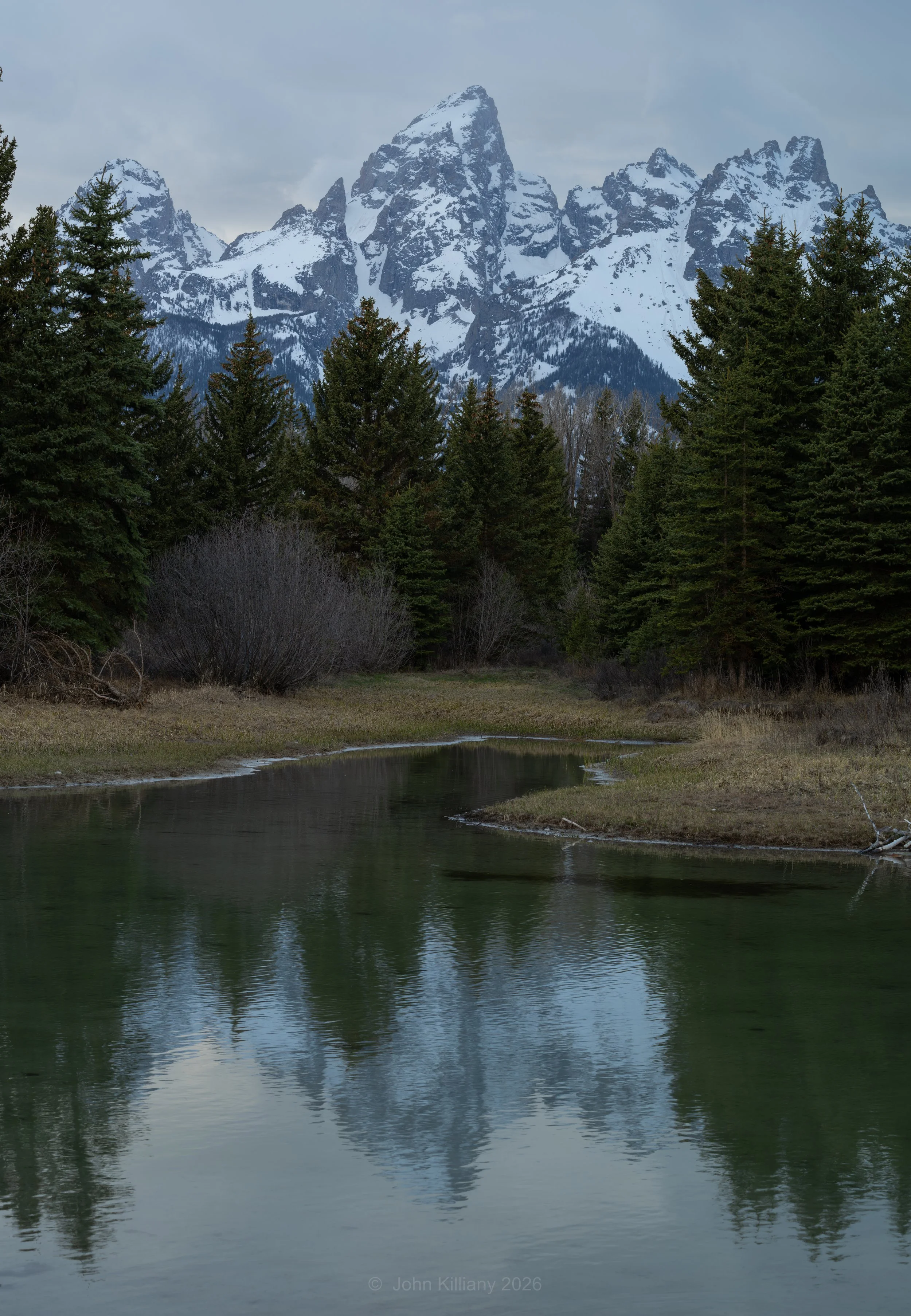 Grand Reflections at Schwabacher Landing - GTNP