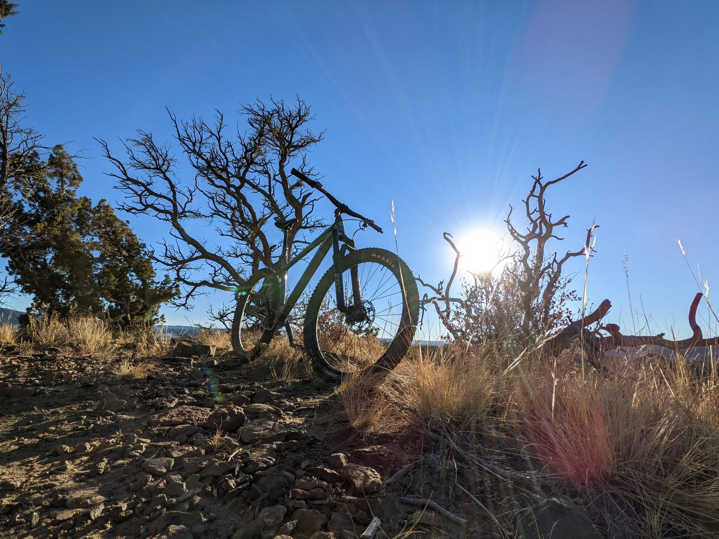 Tarantula Cycles Bike Shop in Trinidad, CO