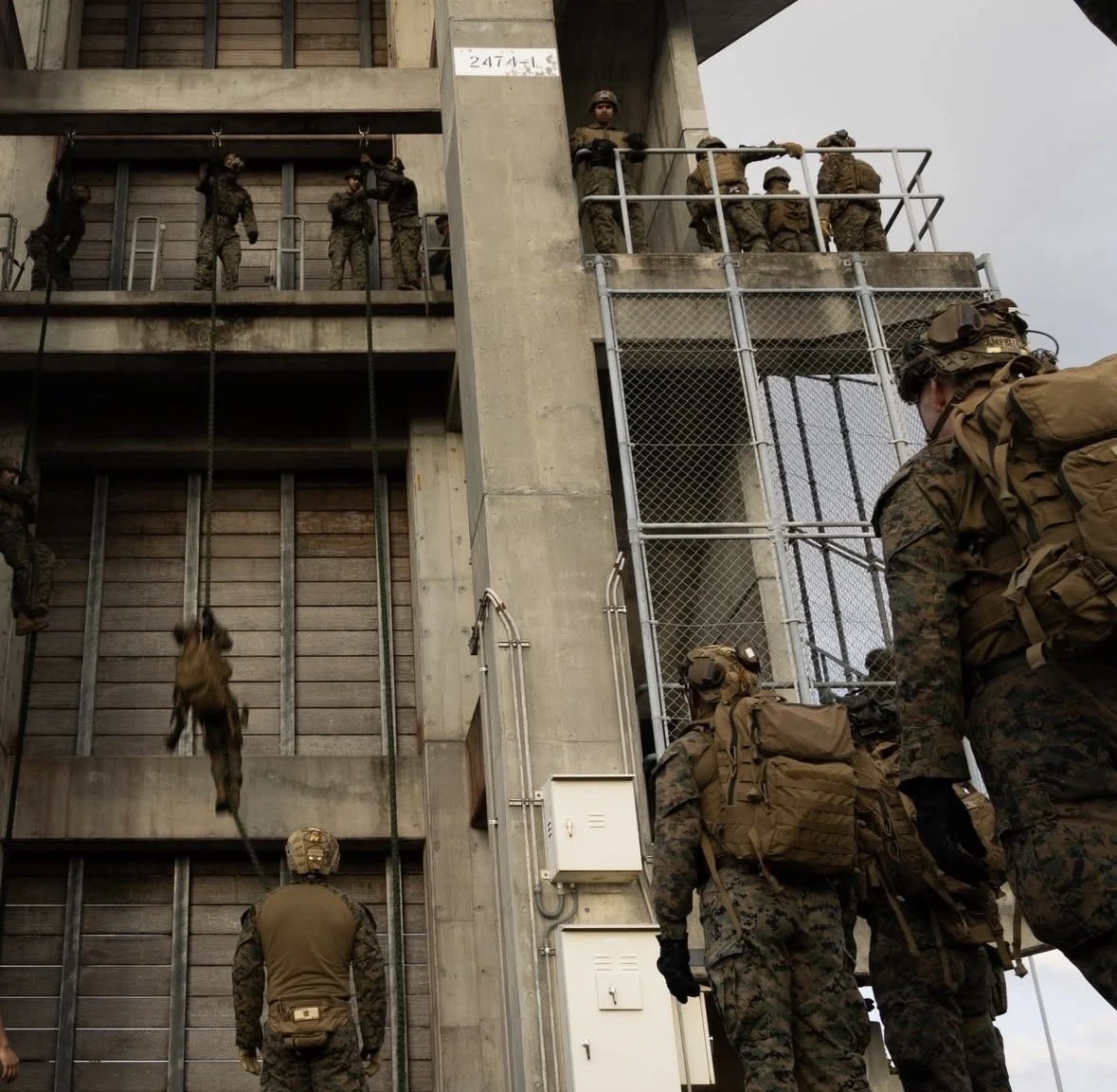 Military personnel in camouflage uniforms and tactical gear preparing to ascend a climbing wall and operate on a multi-level military training obstacle course.