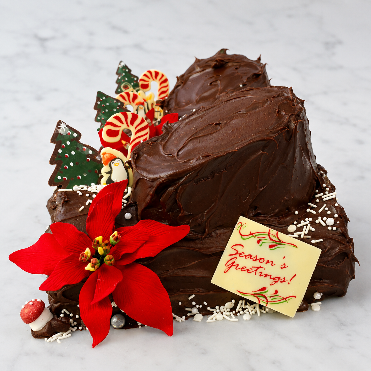 Web Buche 1.png