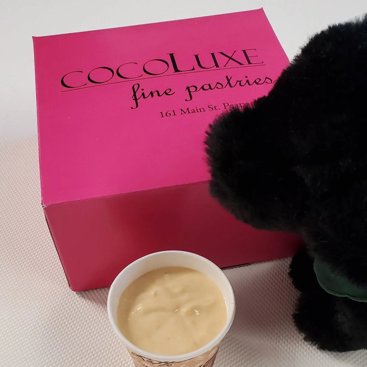 Today and tomorrow,  get your Bestie a Pumpkin Puppy Smoothie!  Made with Greek yogurt. Pumpkin and oat milk!  A yummy, healthy treat for your Pup! #dogsofinstagram