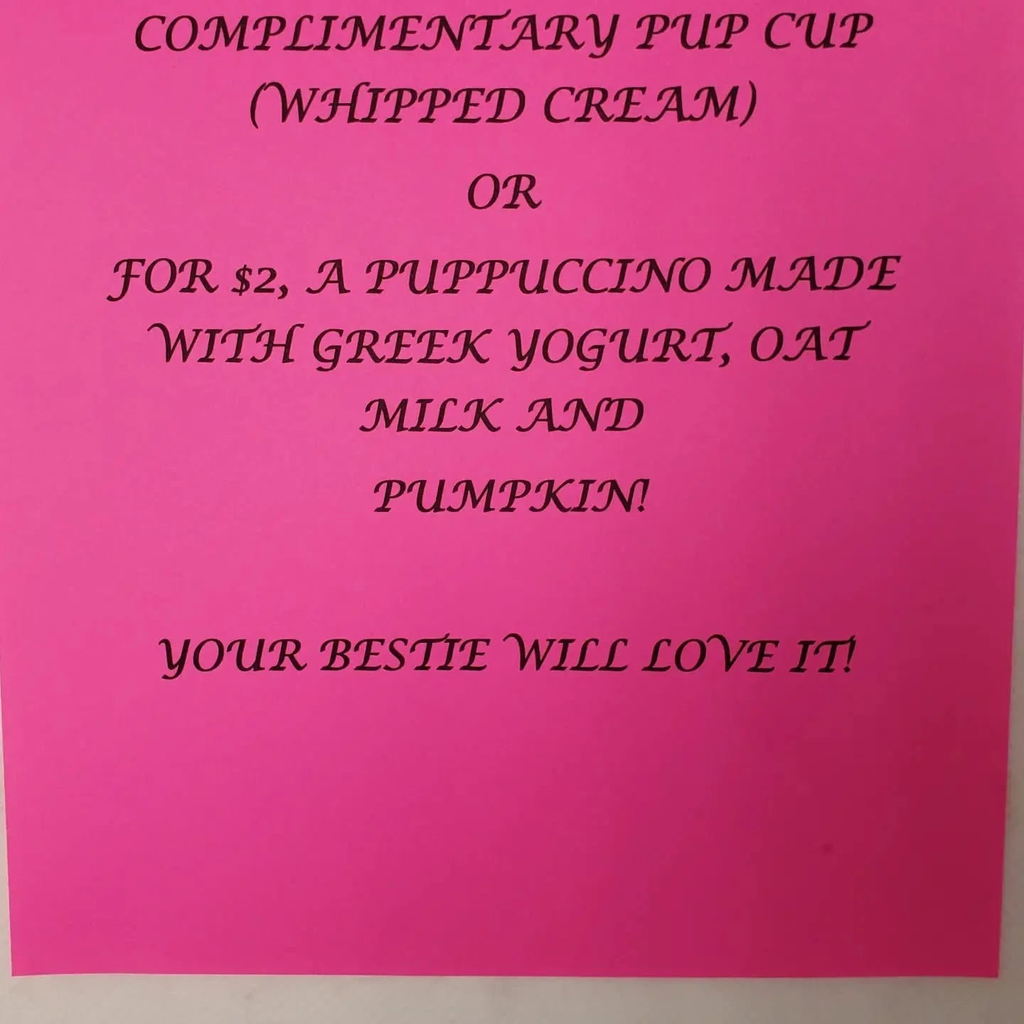 Don't forget your puppuccino today!  Happy National Dog Day!