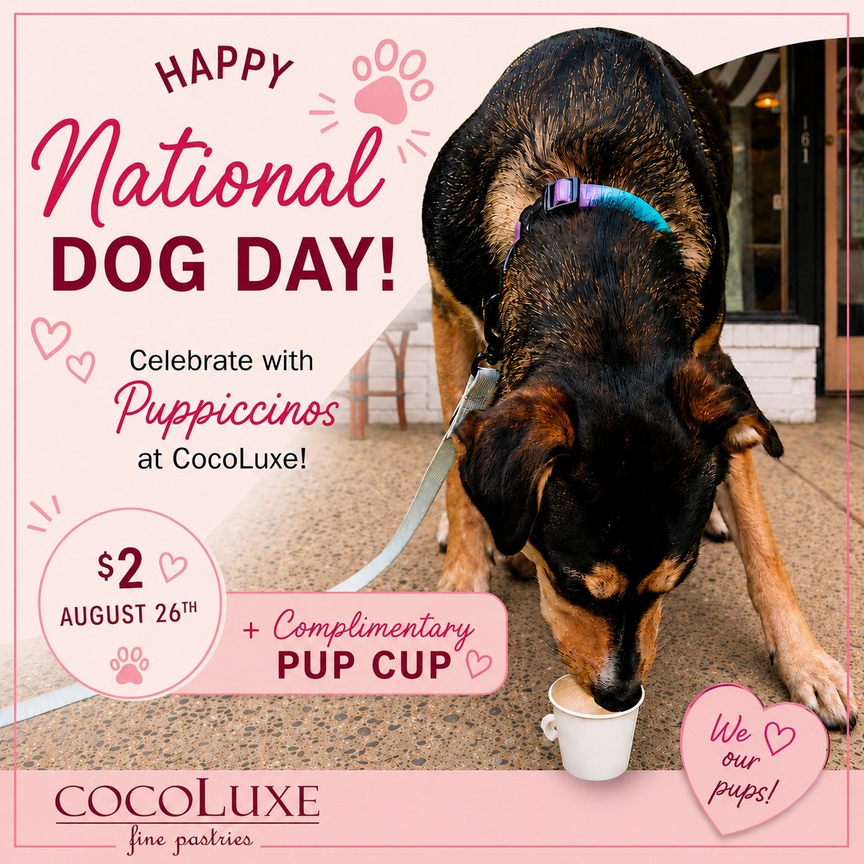 🐾 Wednesday, 8/26 is National Dog Day! 🐶💗

We&rsquo;ll be celebrating our four-legged friends with Puppiccinos at CocoLuxe!

Bring your pup along and treat them to a little something special while you grab a treat of your own. 🐾☕️

&bull; Puppicc