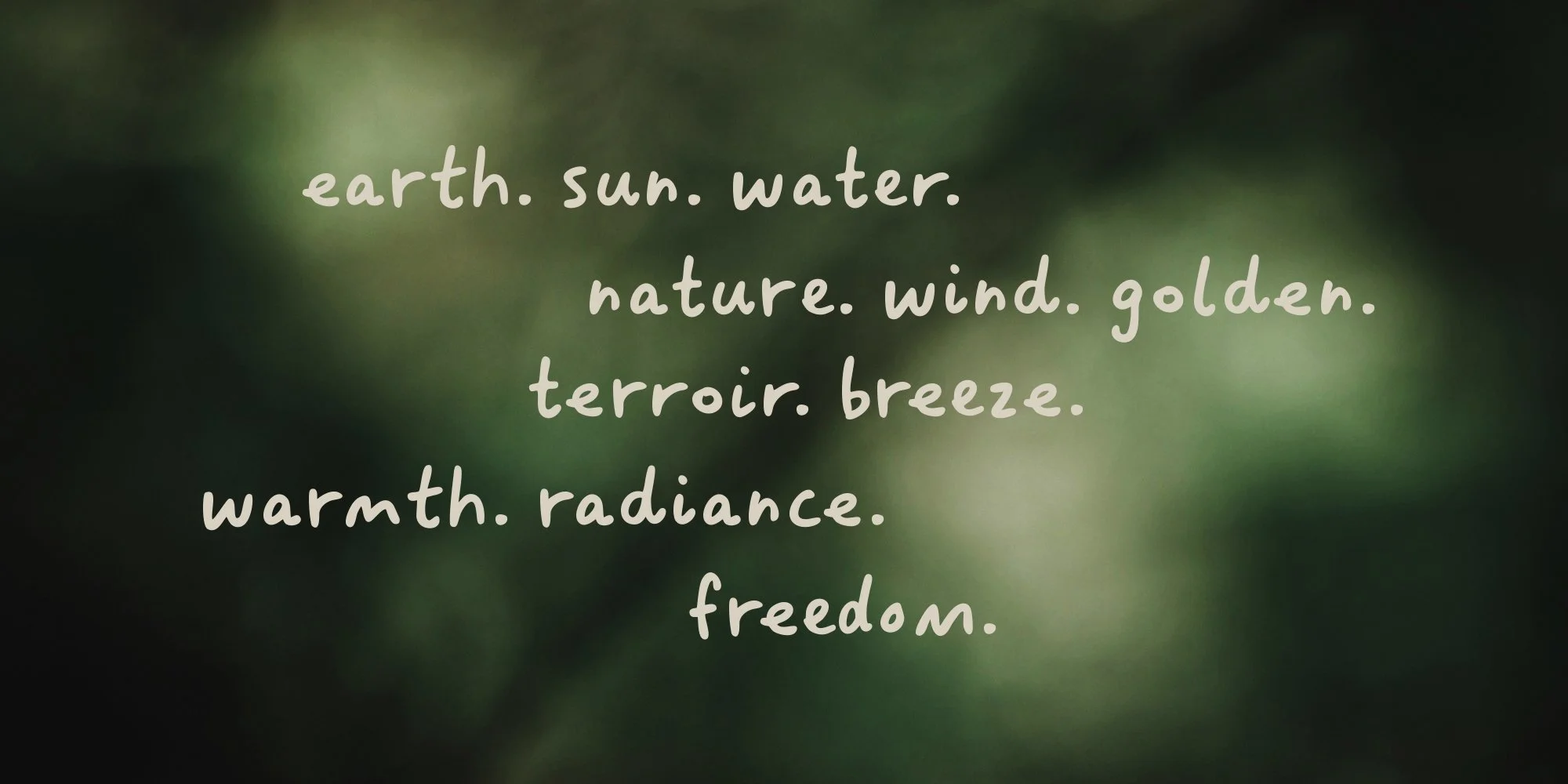 Hand Drawn quote made with Sakiro Font Collection.jpg