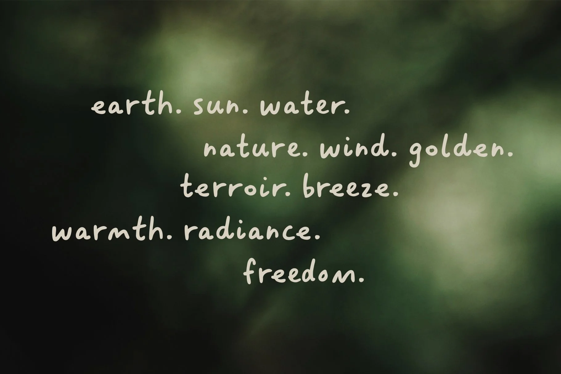 Hand Drawn quote made with Sakiro Font Collection.jpg