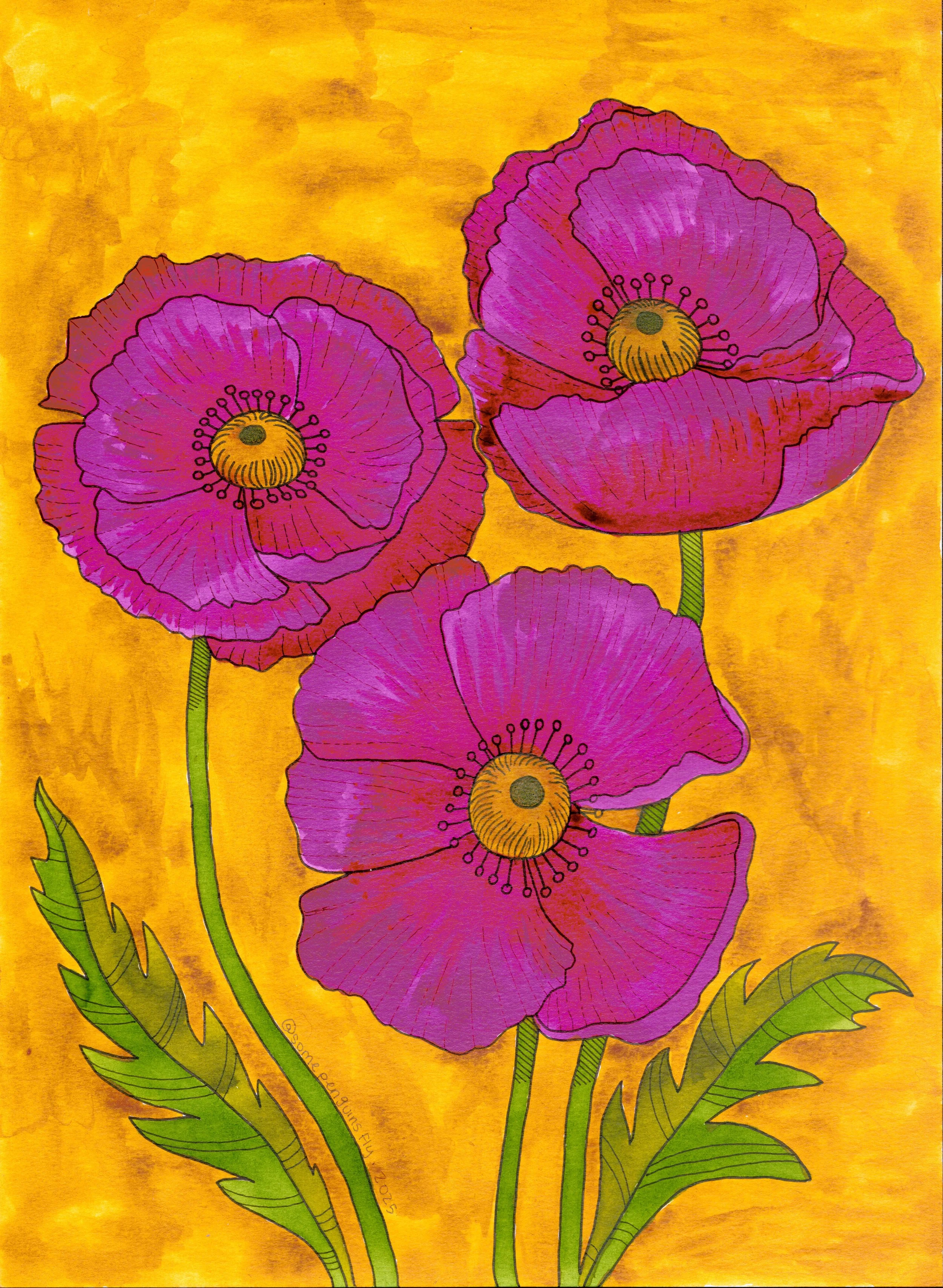 Poppies.jpg