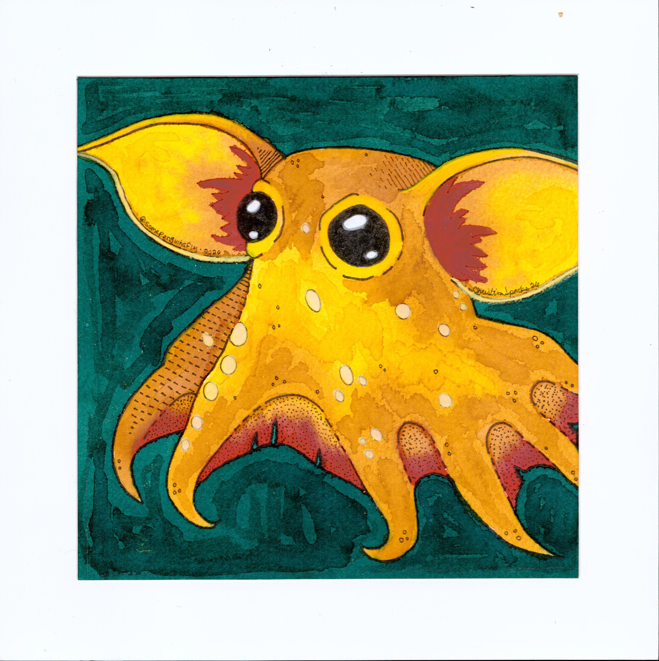 yellow dumbo octopus