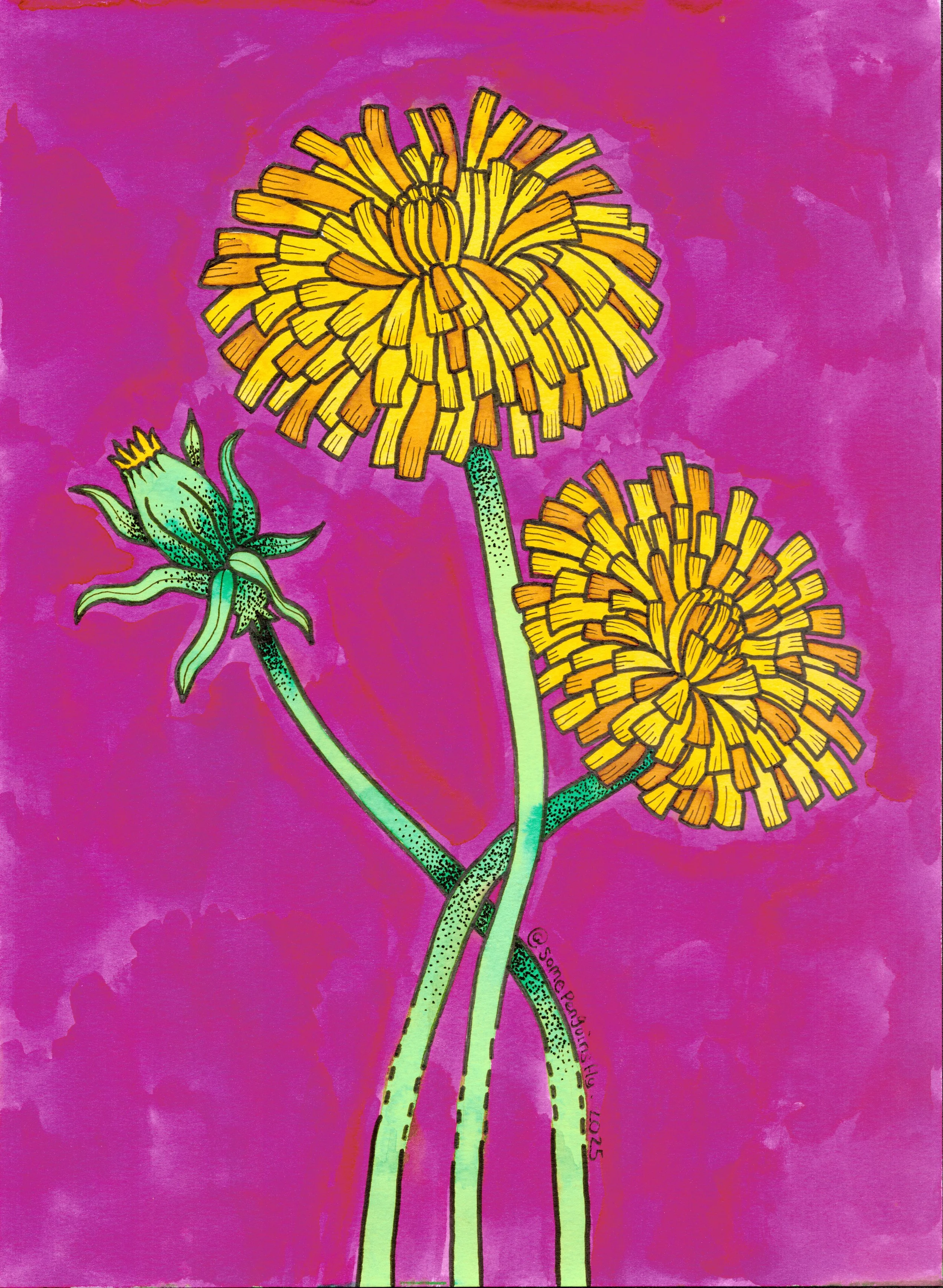 Dandilions.jpg