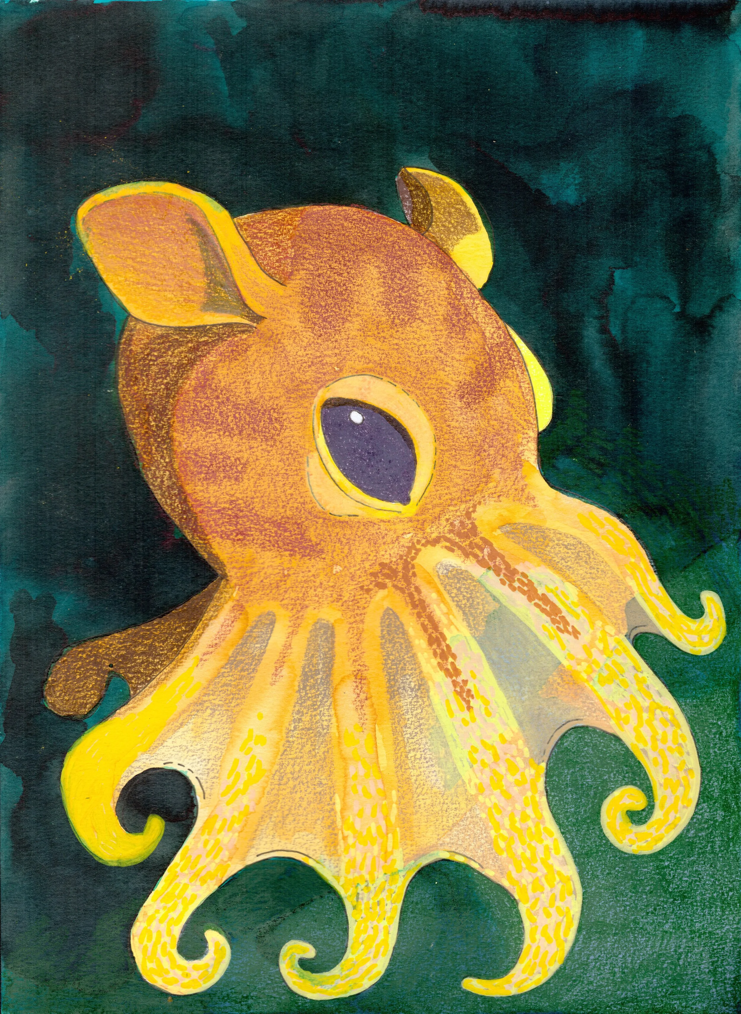 Yellow and orange cuttlefish