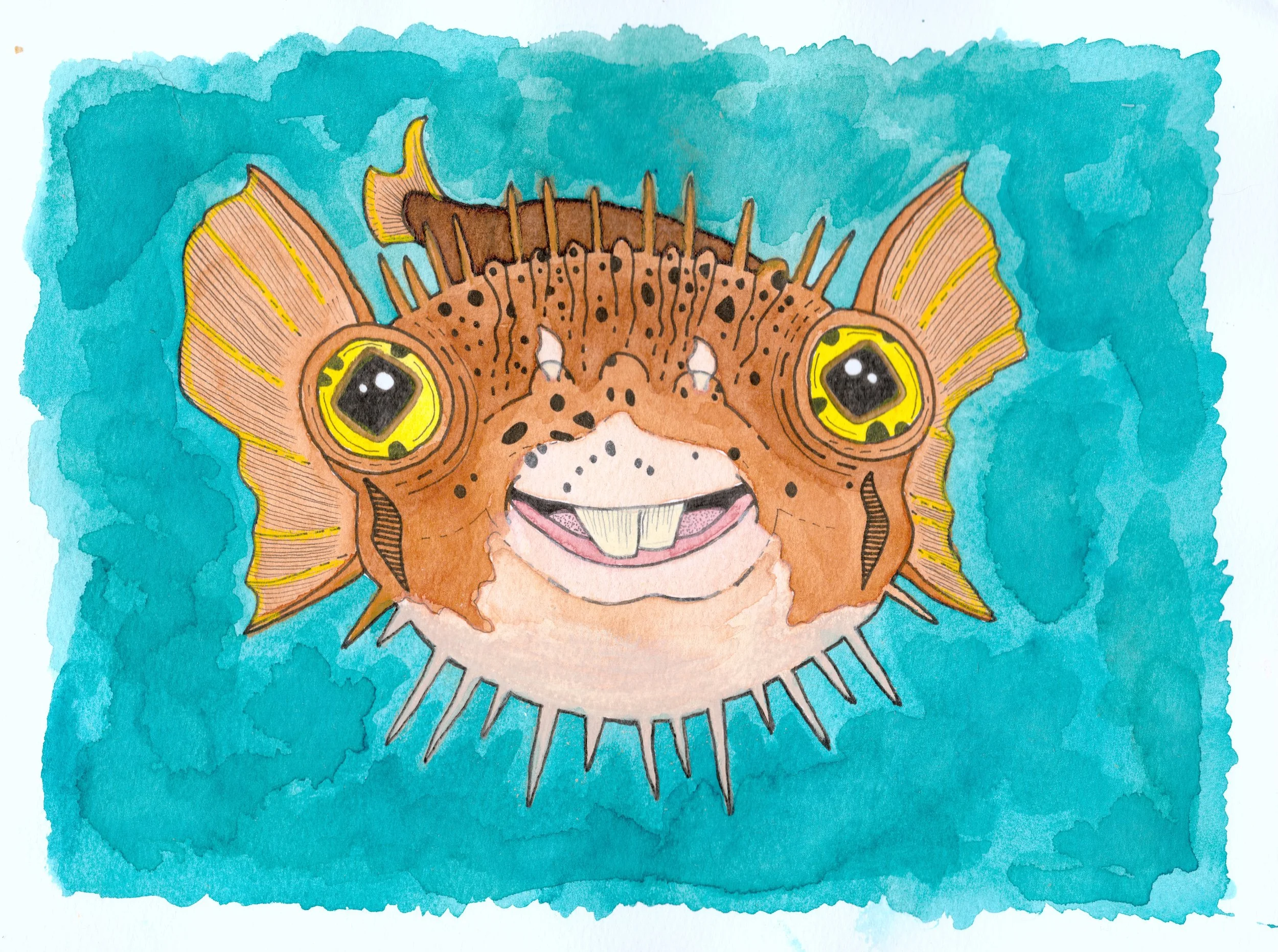 smiling pufferfish