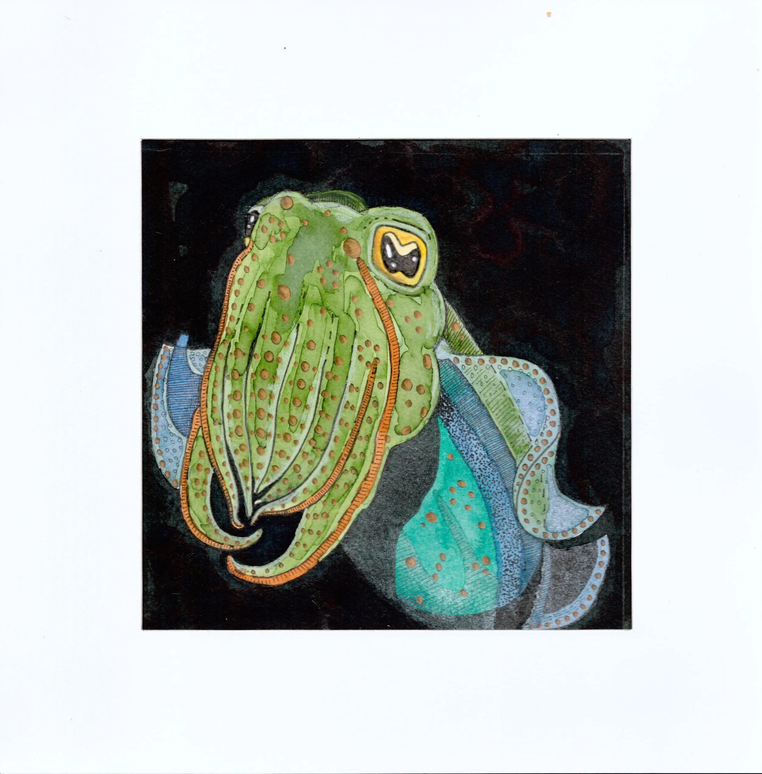 Blue & Green Cuttlefish