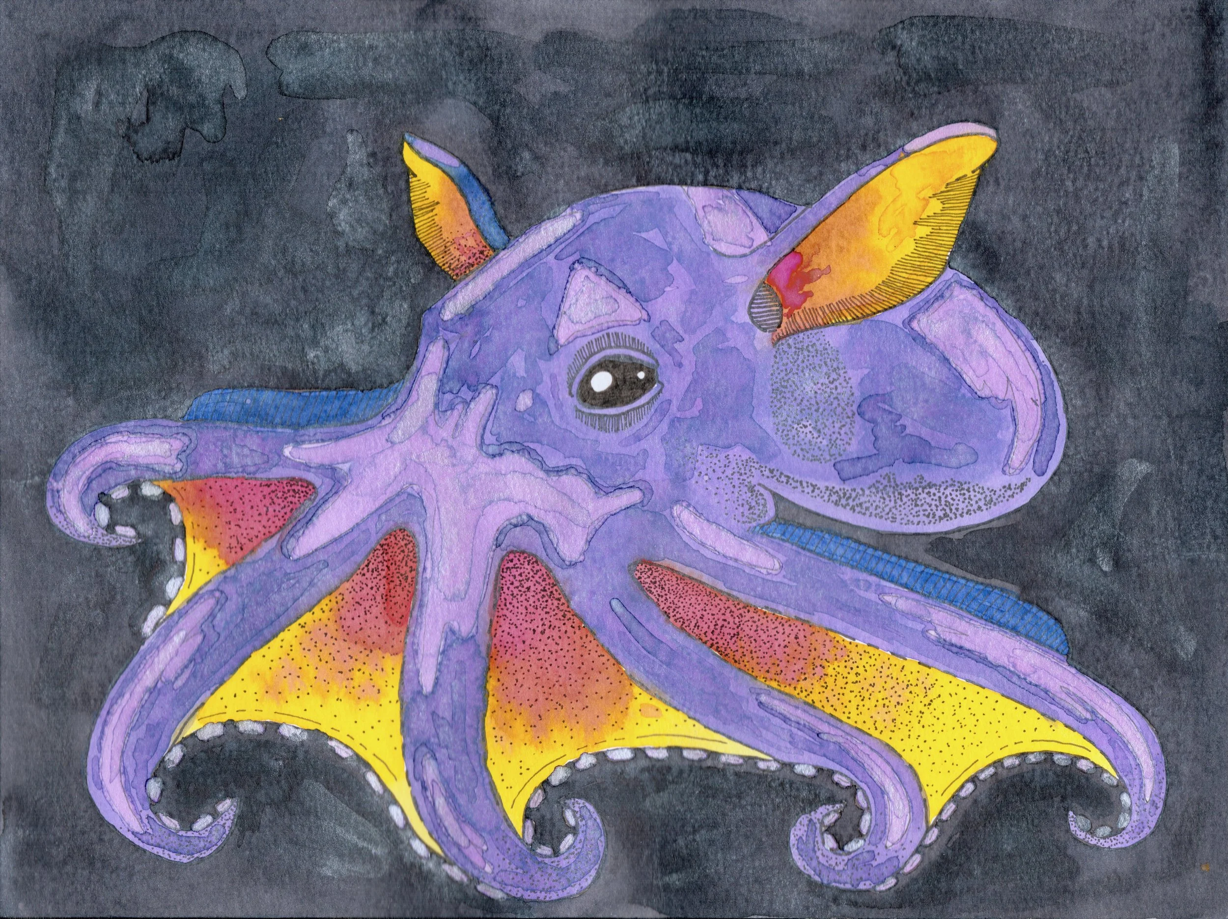 purple and yellow dumbo octopus