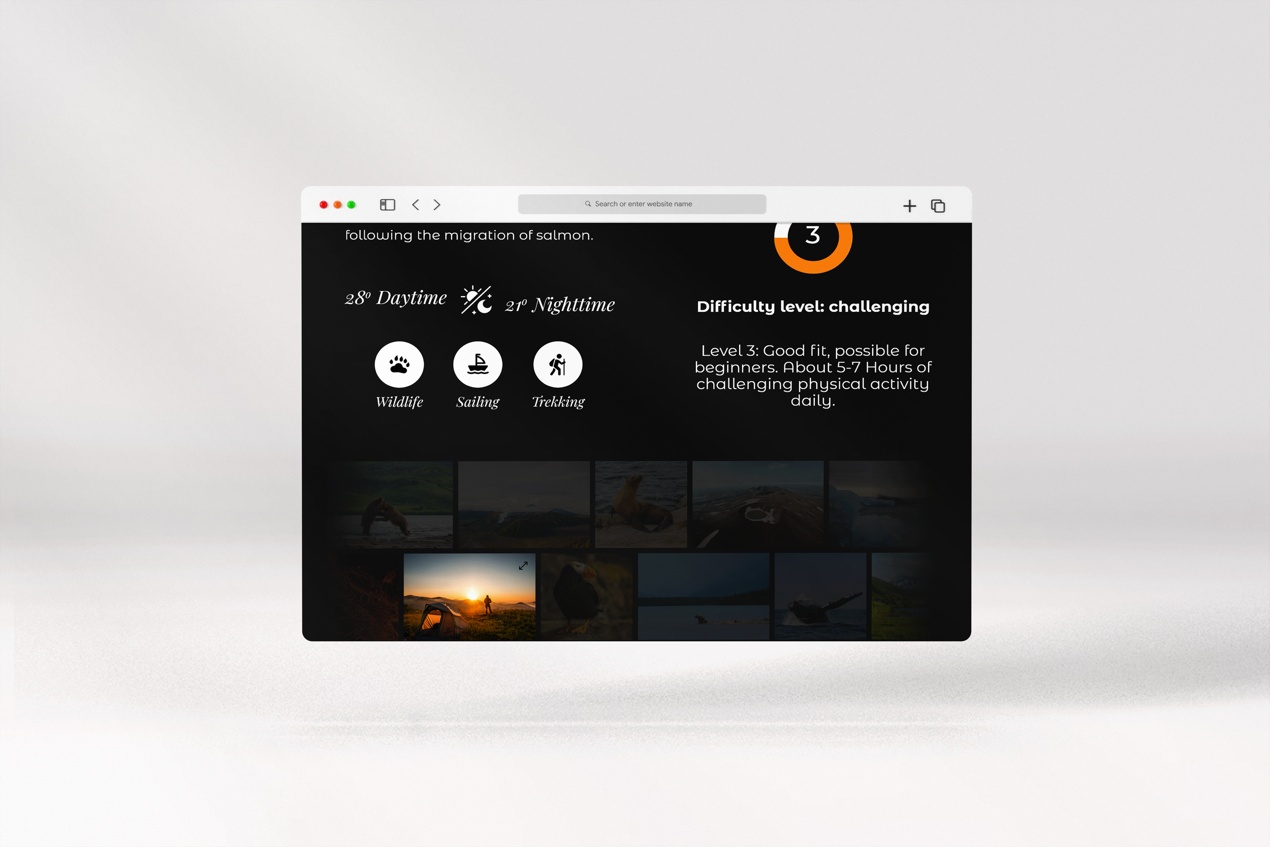toki - browser 3.png