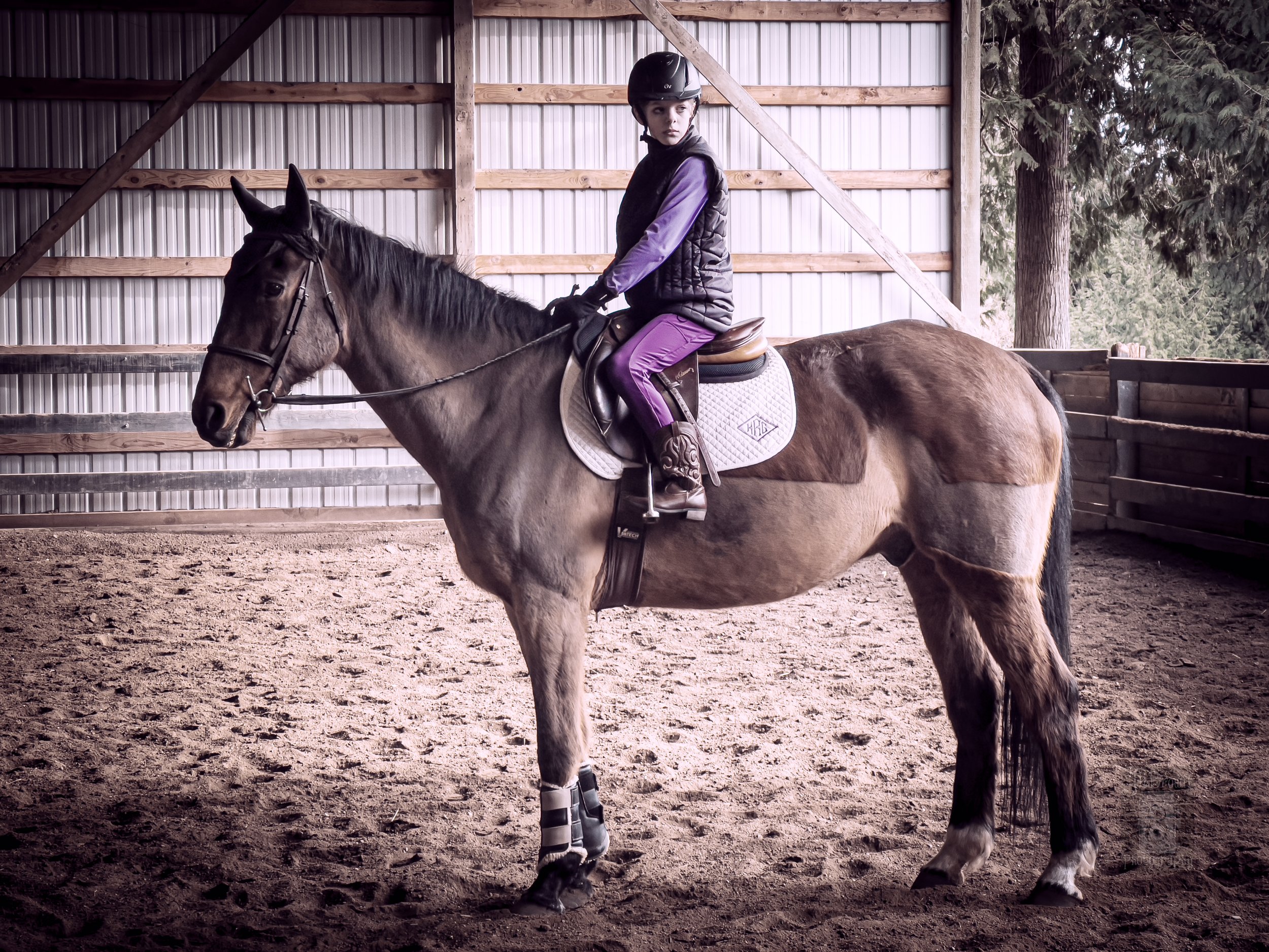 A young girl in riding gear sitting on a brown horse inside a barn with wooden and metal walls.