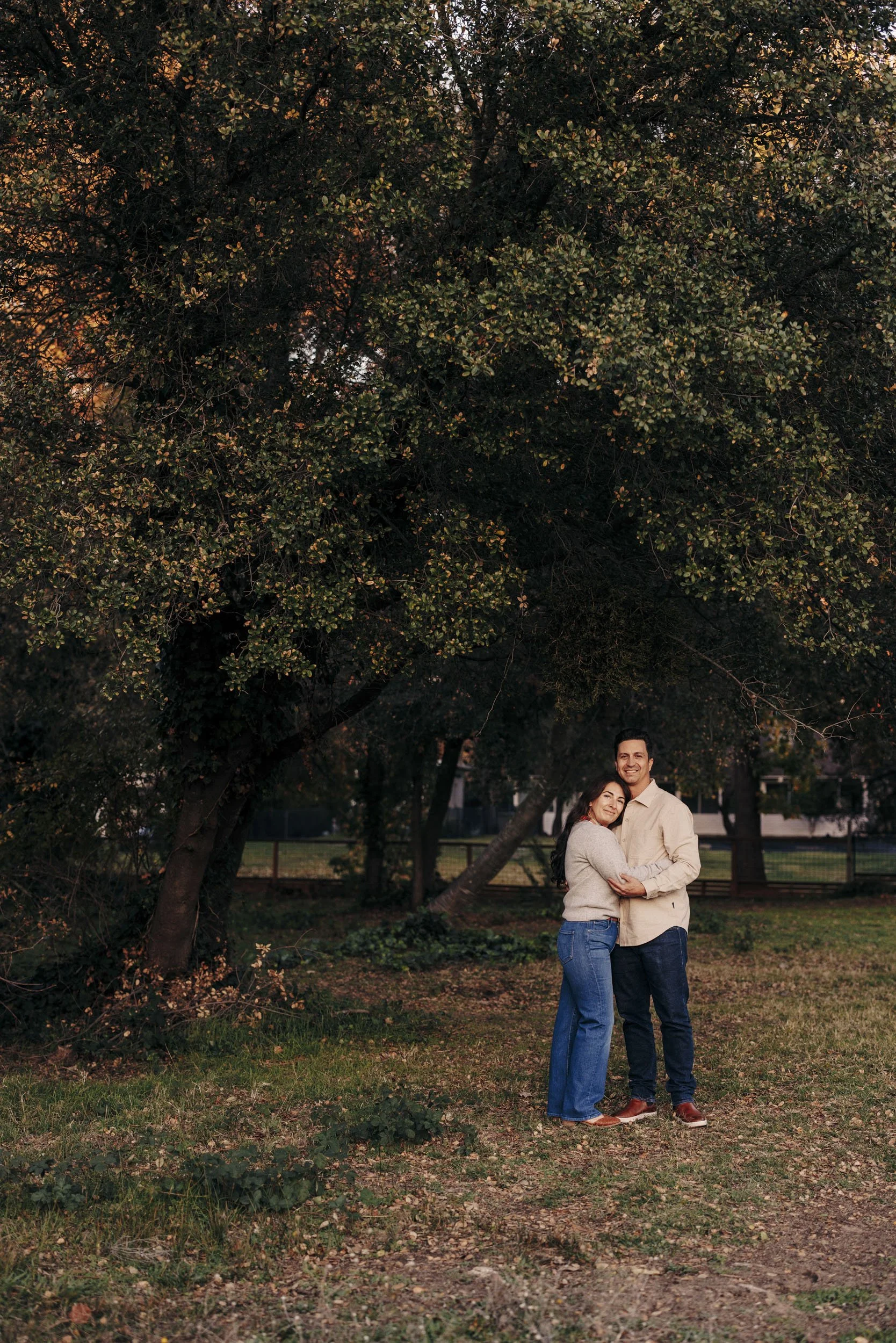 A couple embracing in a park during sunset, standing under a large tree with green leaves.
