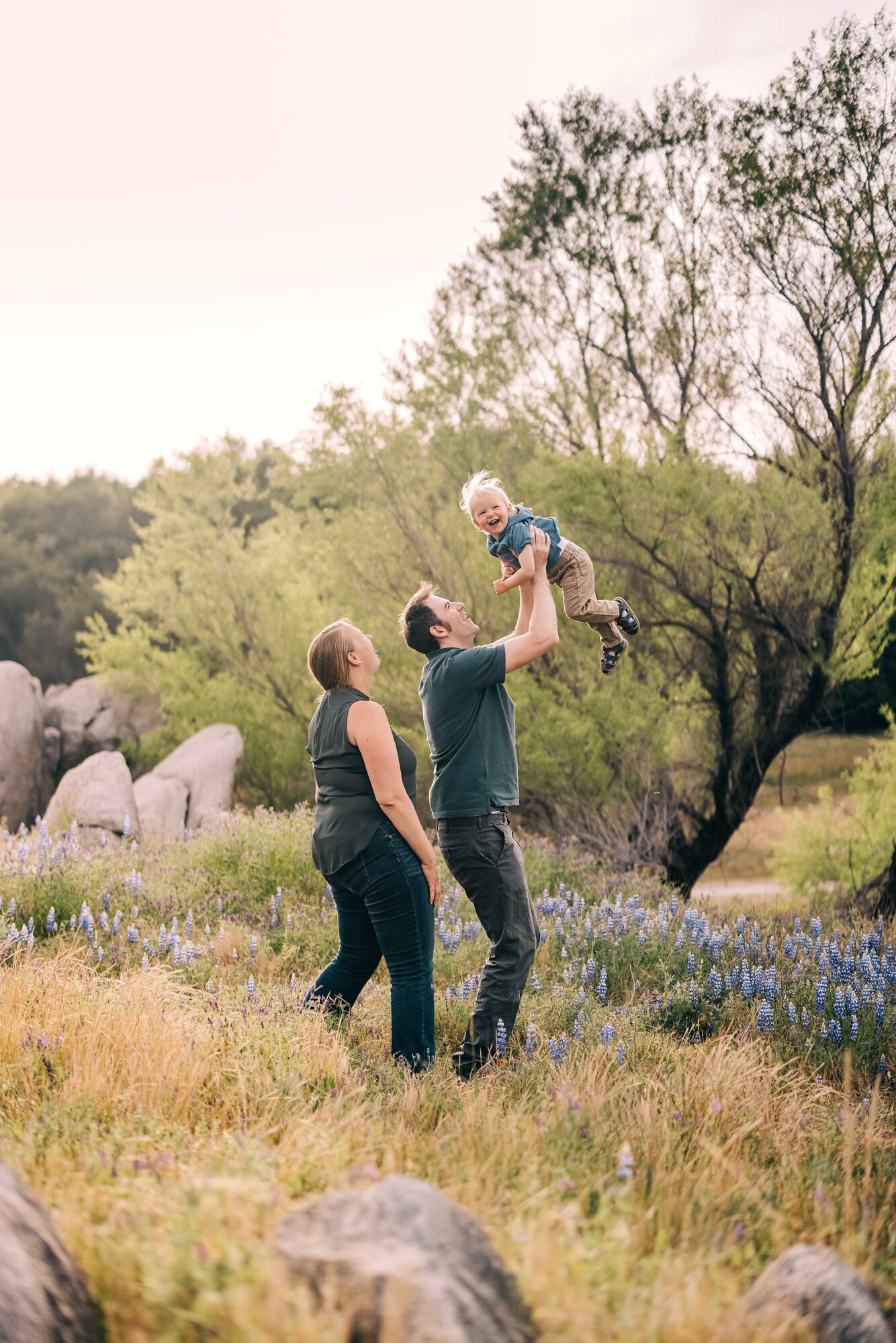 Spring Mini Sessions  Folsom Lake Family Photographer — Amy Wright  Photography