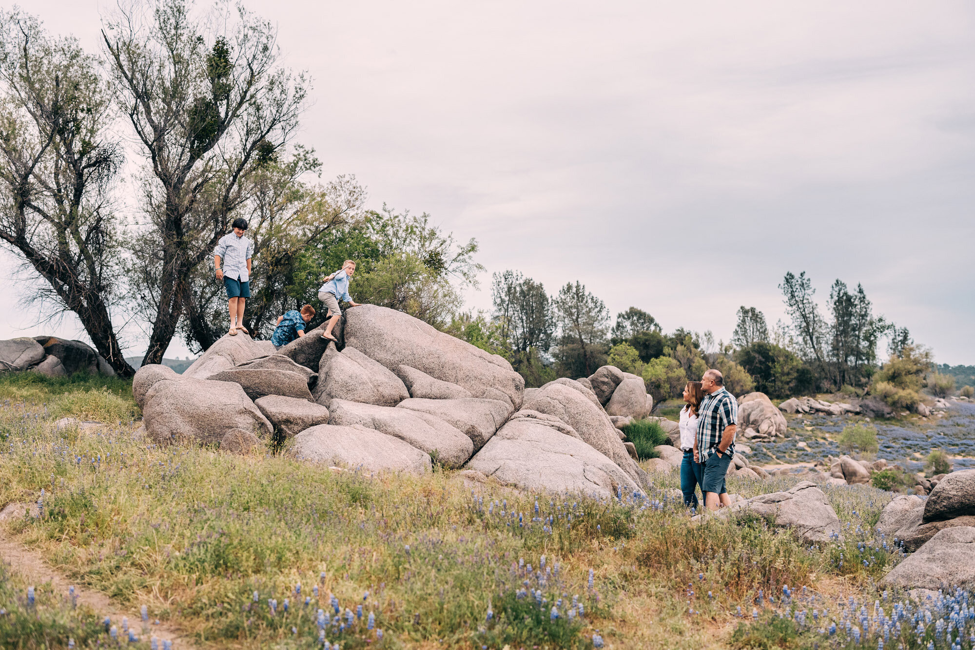 Spring Mini Sessions  Folsom Lake Family Photographer — Amy Wright  Photography