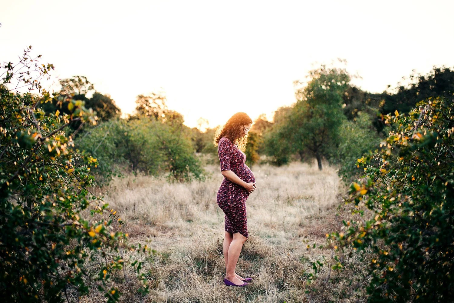 Roseville Family Photographer | A Perfect Evening for a Maternity Session