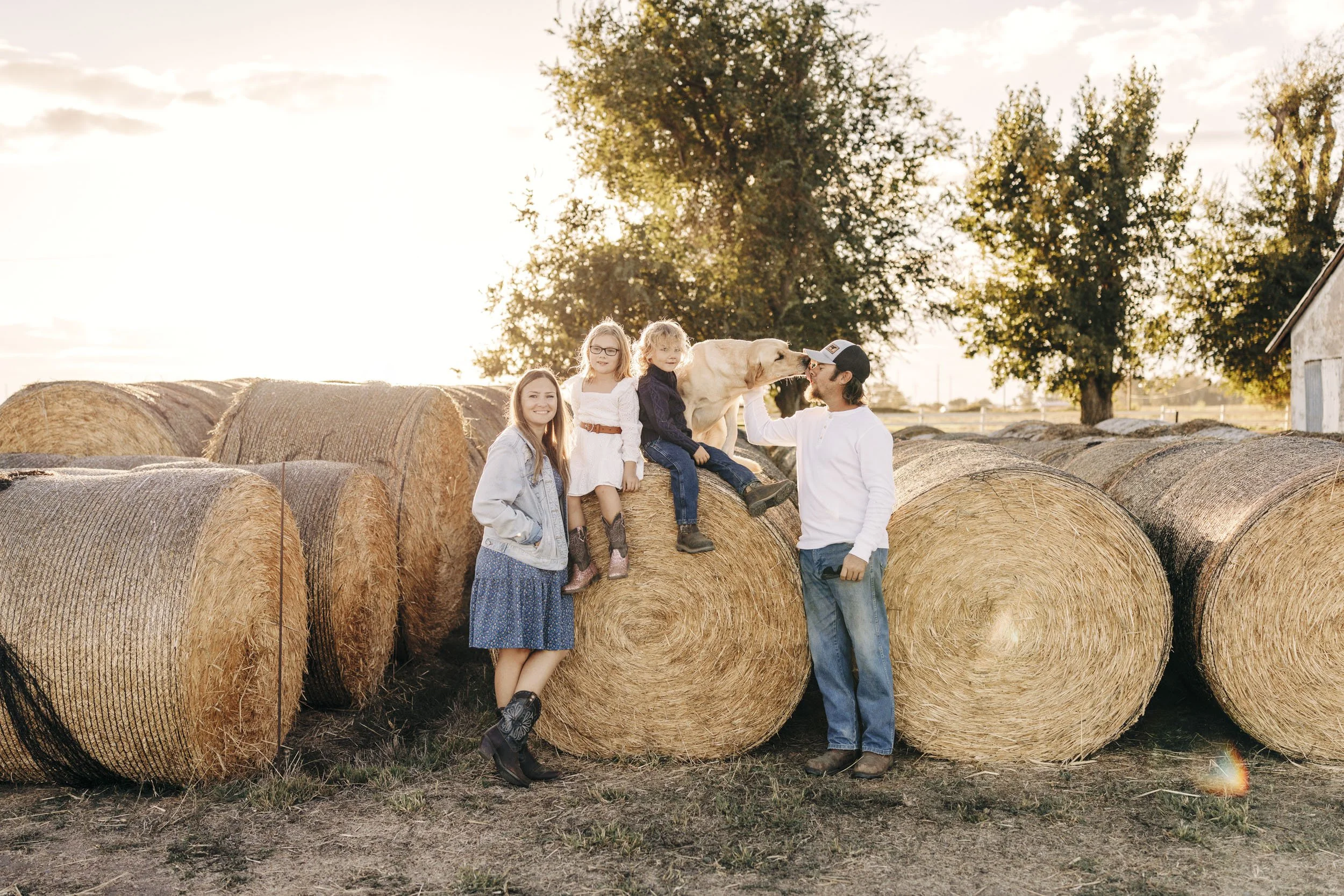 A Beautiful Afternoon | Roseville Family Lifestyle Photographer (Copy)