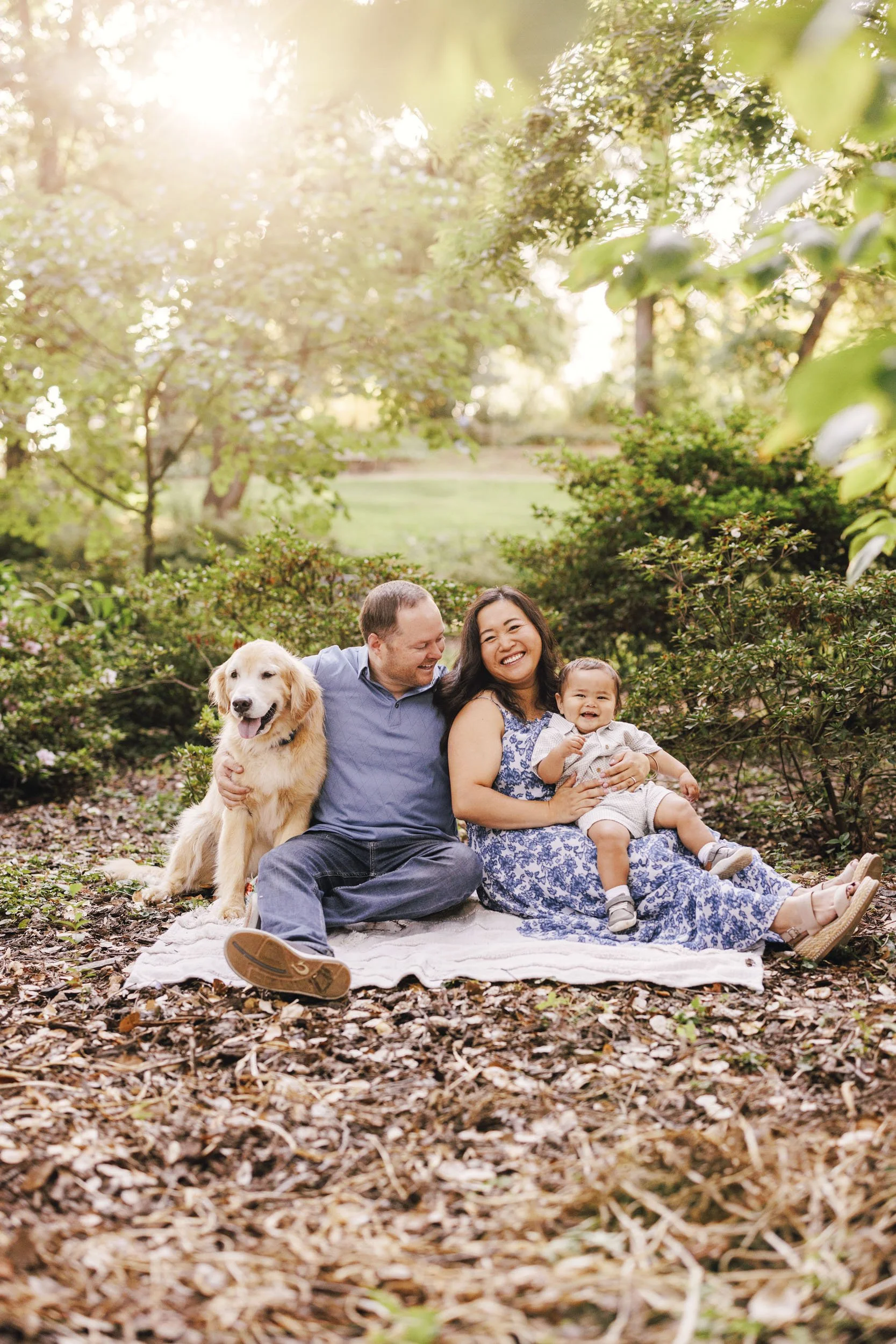 A family sitting on a blanket outdoors among trees with sunlight shining through, including a dog, a man, a woman, and a baby.