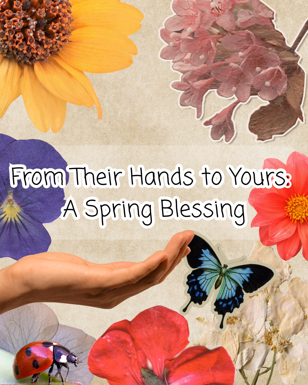 From Their Hands to Yours: A Spring Blessing