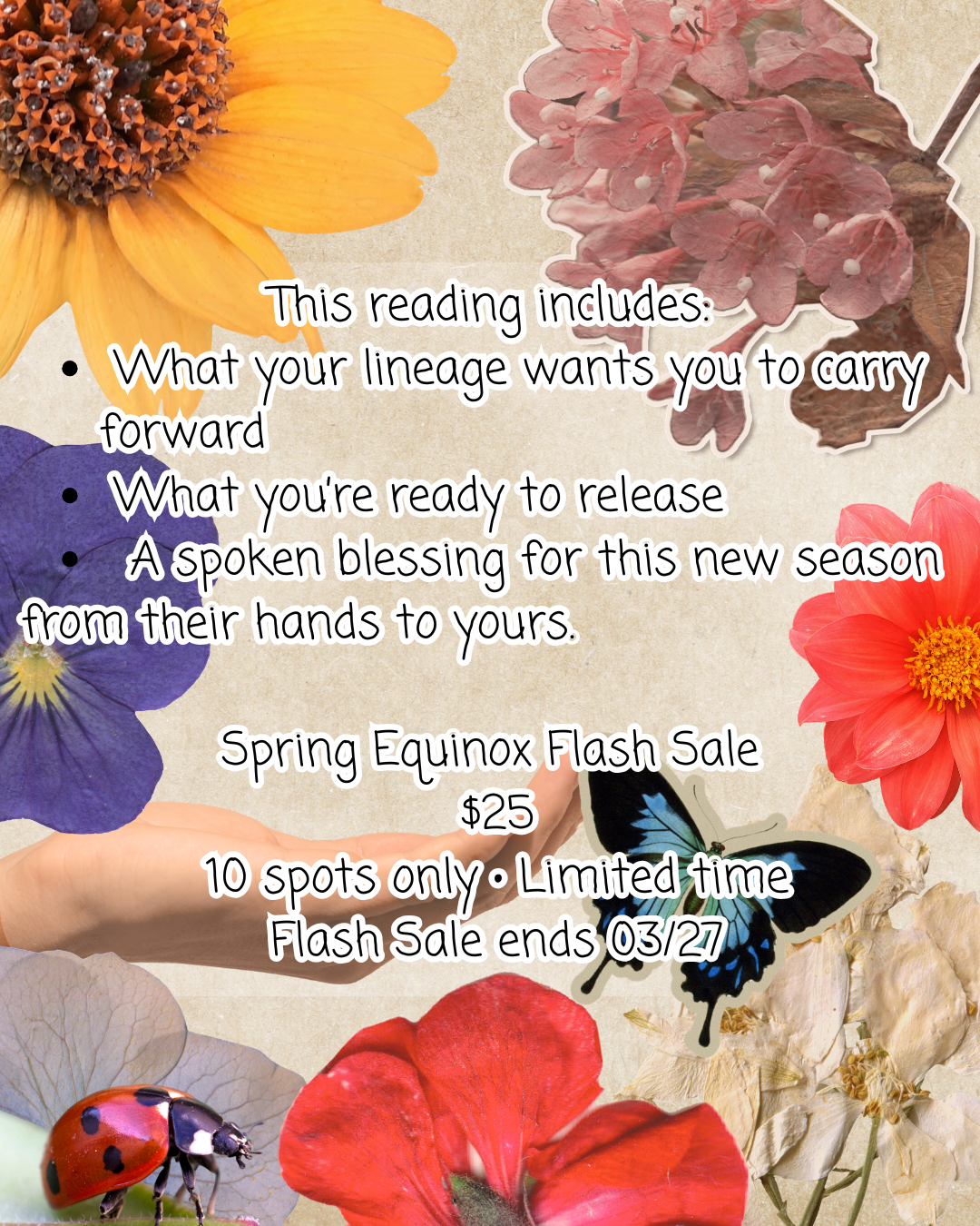 Spring Flash Sale.png