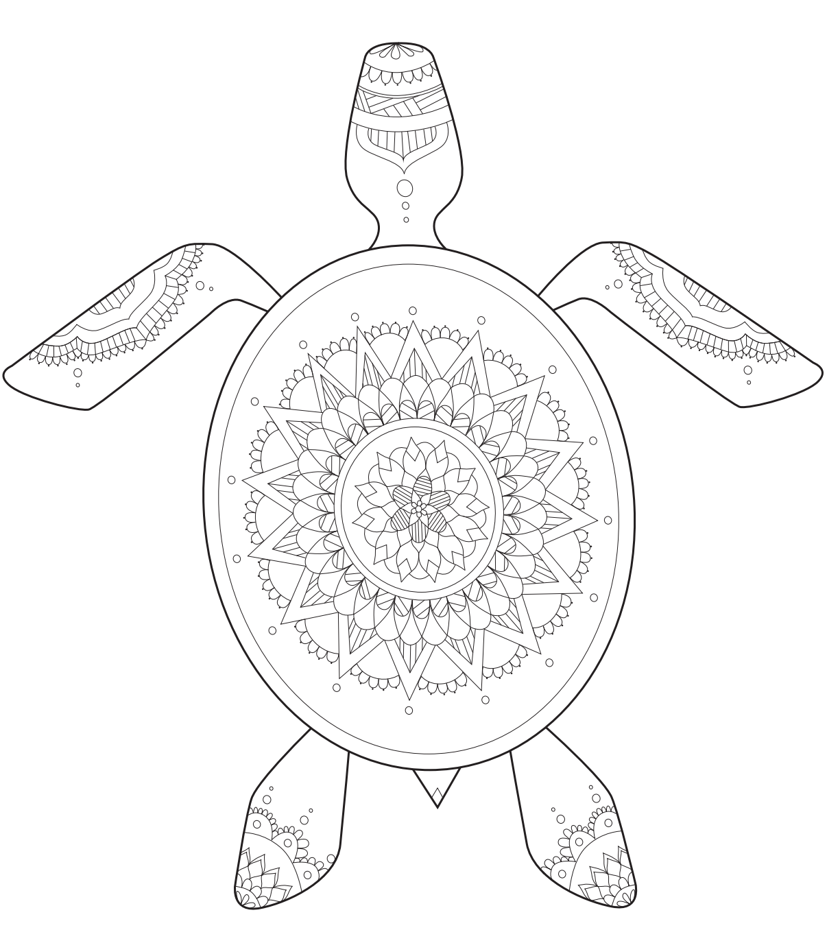 TURTLE.png