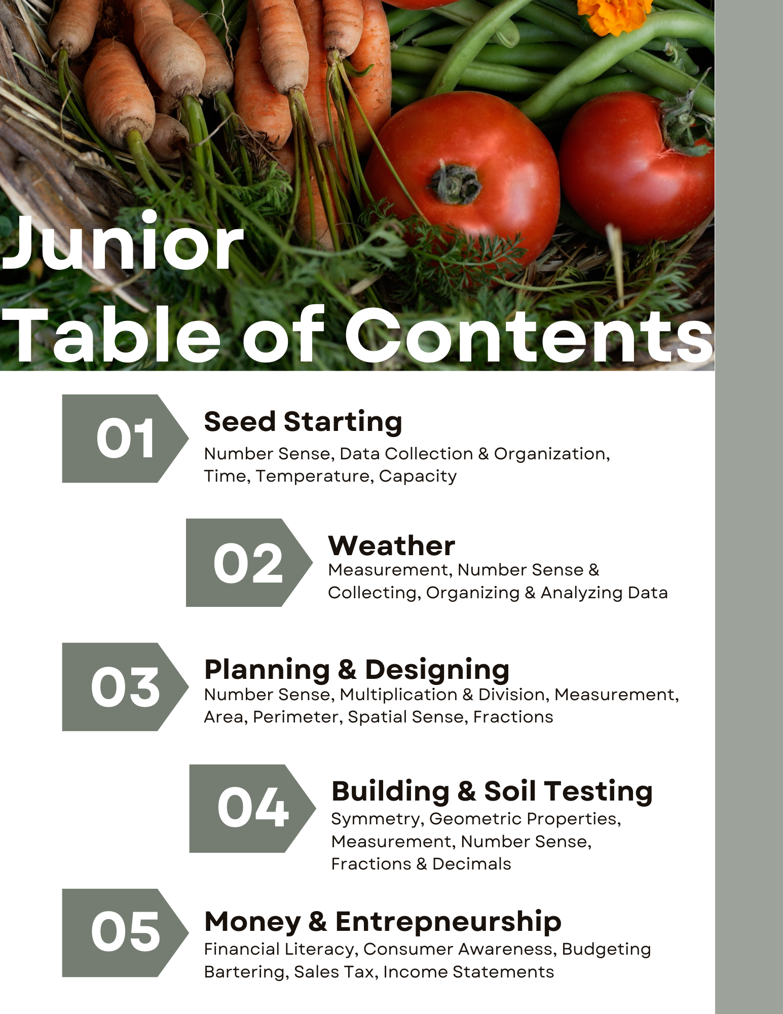 Junior Ages - Planning & Planting Your Garden Math Activities E-Book ...