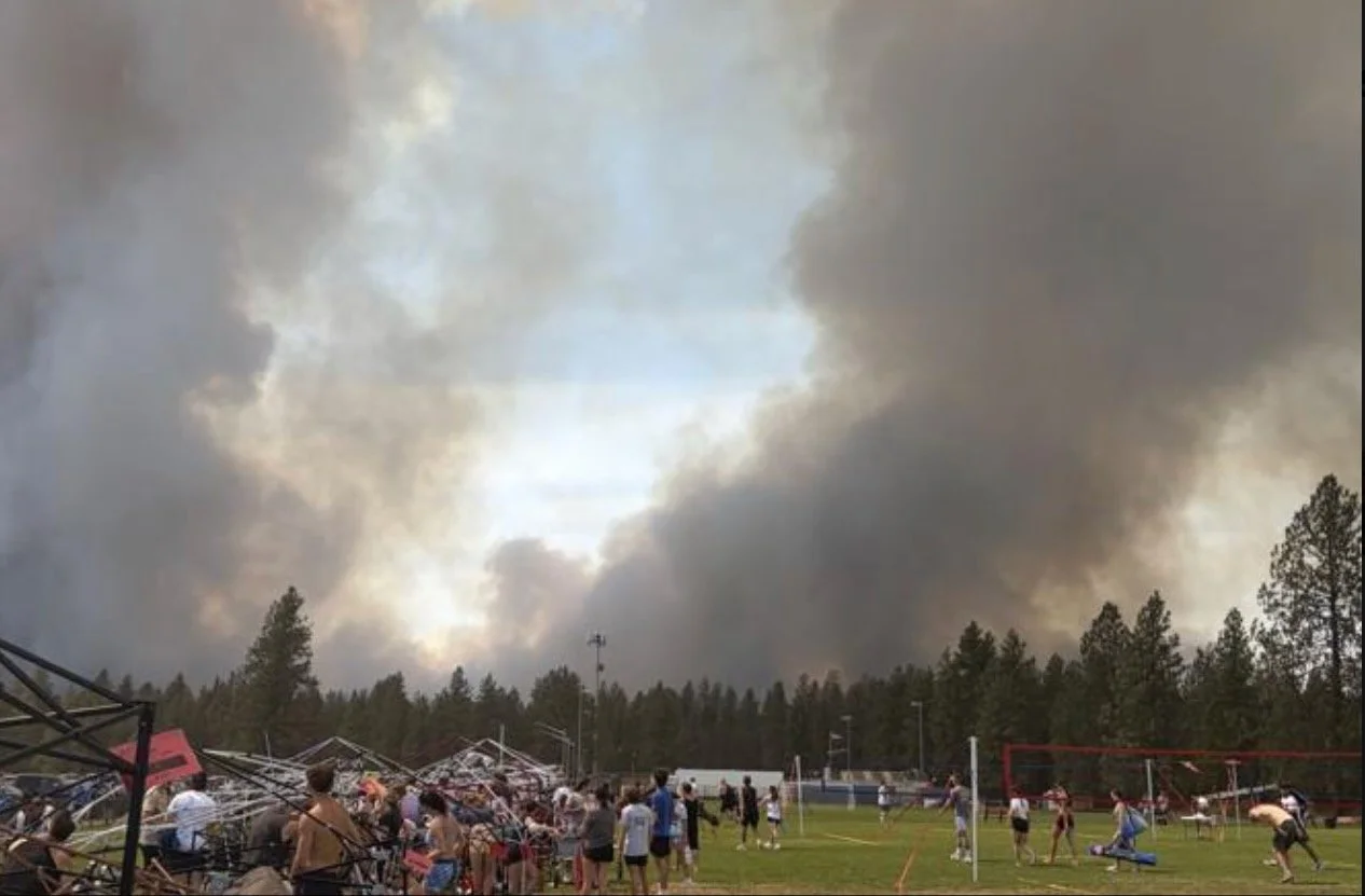Wildfire