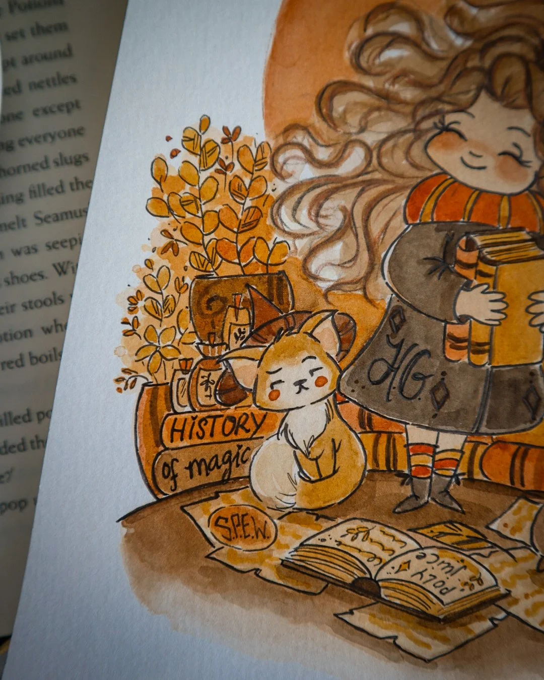 Hermione's Study (5).JPG