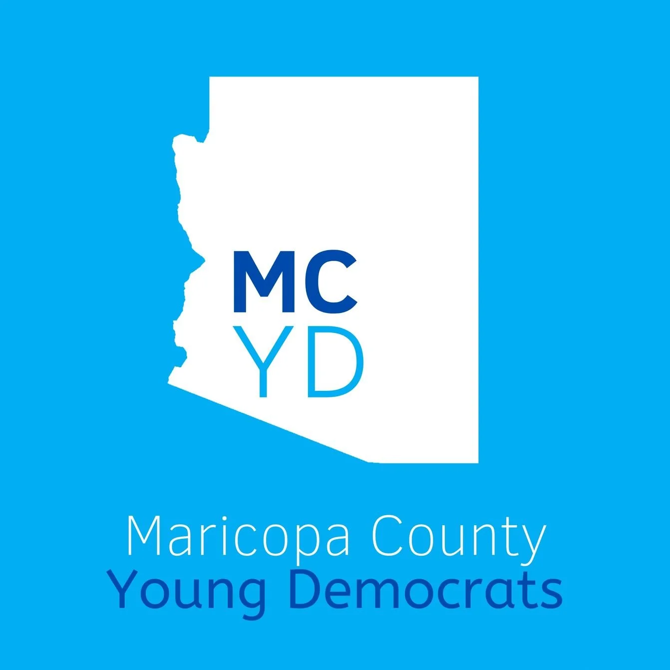 Maricopa County Young Democrats Endorsed Candidate