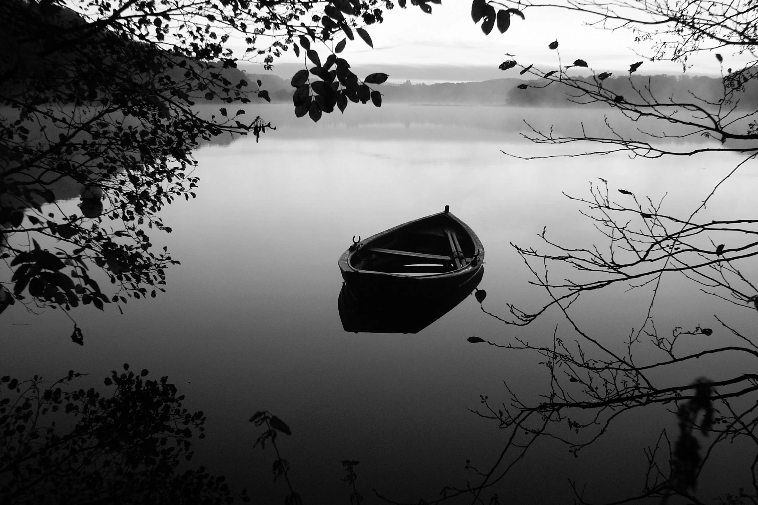 But, who is the author?