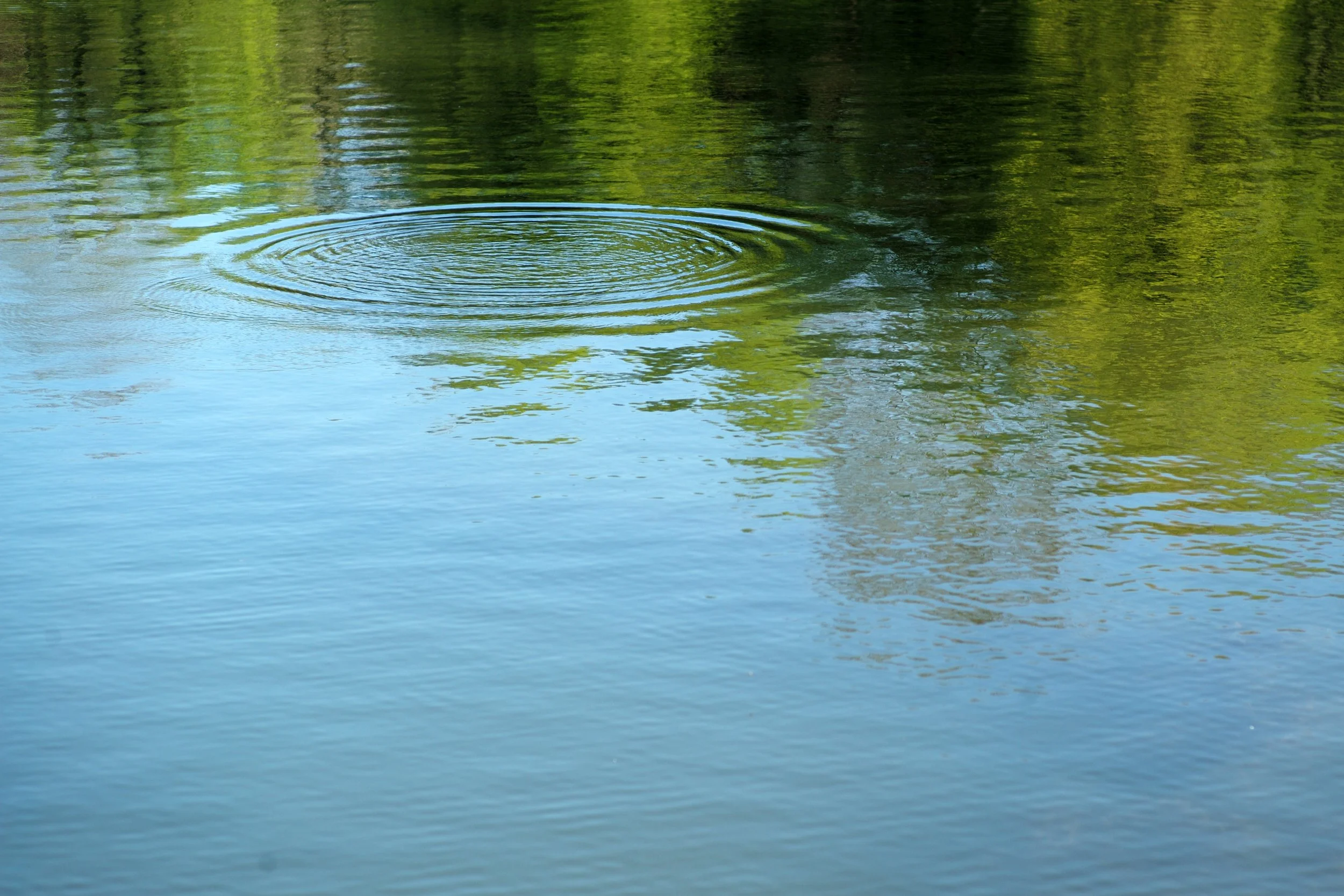 Spreading Your Books Far &amp; Wide