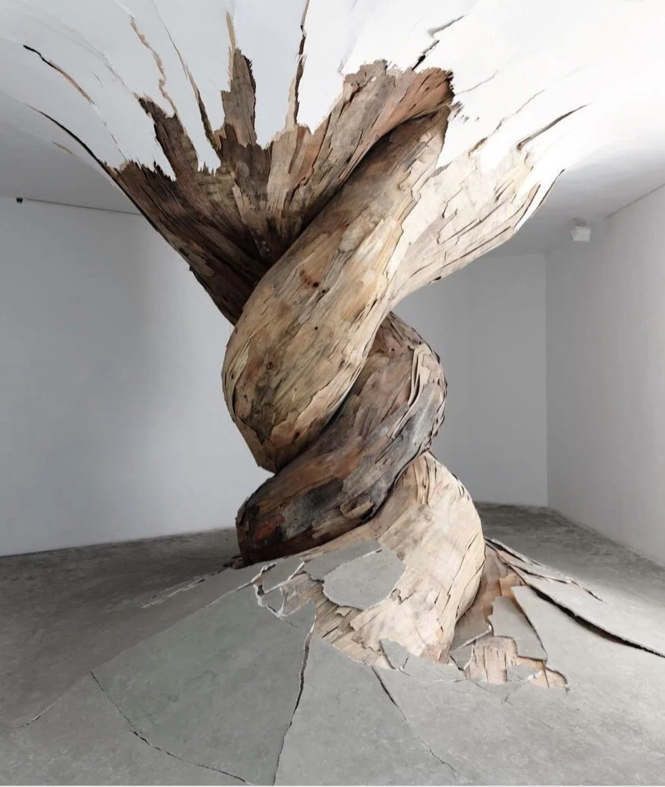 inspiring artwork, tree root bursting into a room, wood art